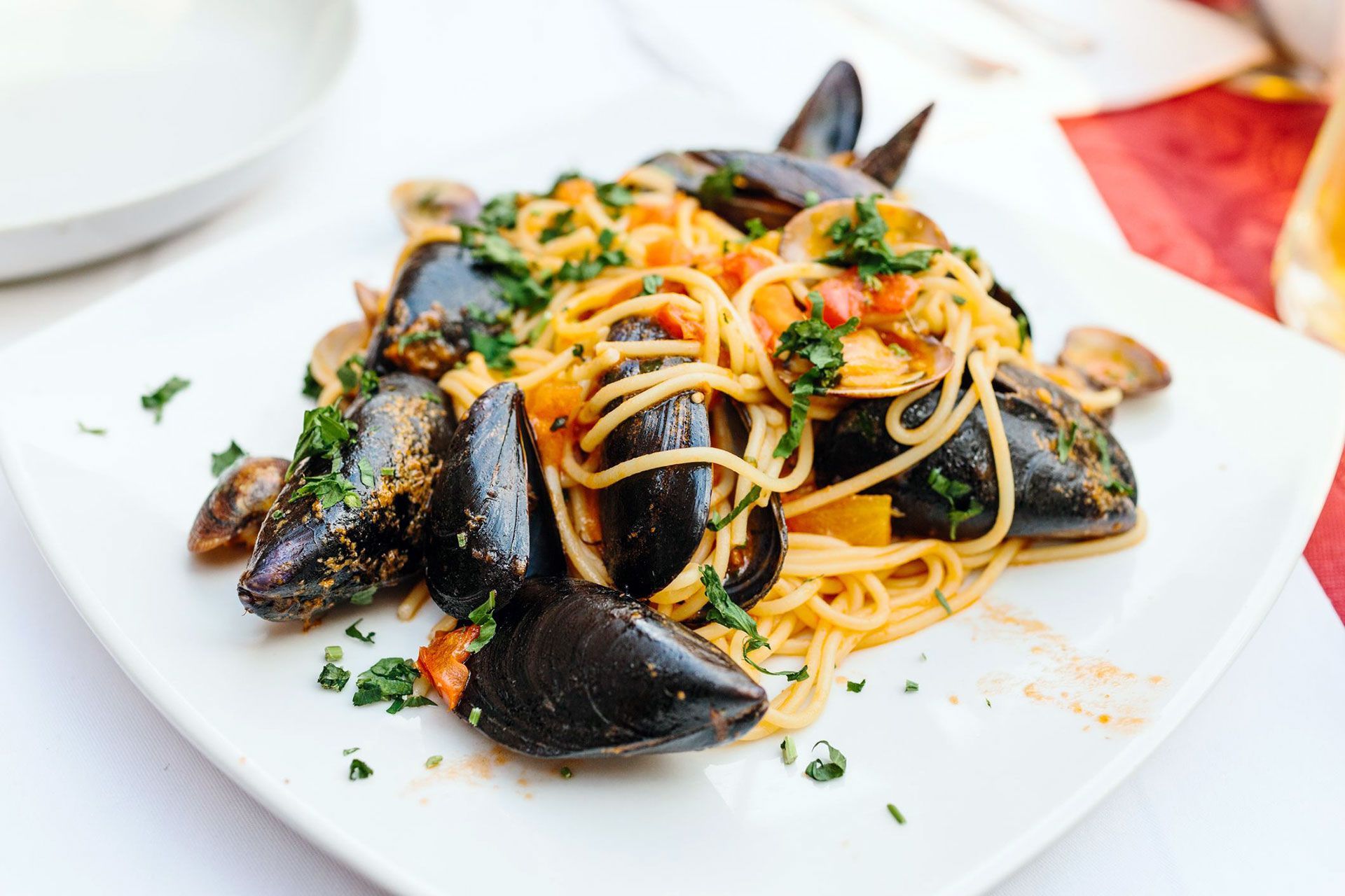 Piatto di spaghetti con cozze, vongole ed erbe aromatiche su un piatto bianco.