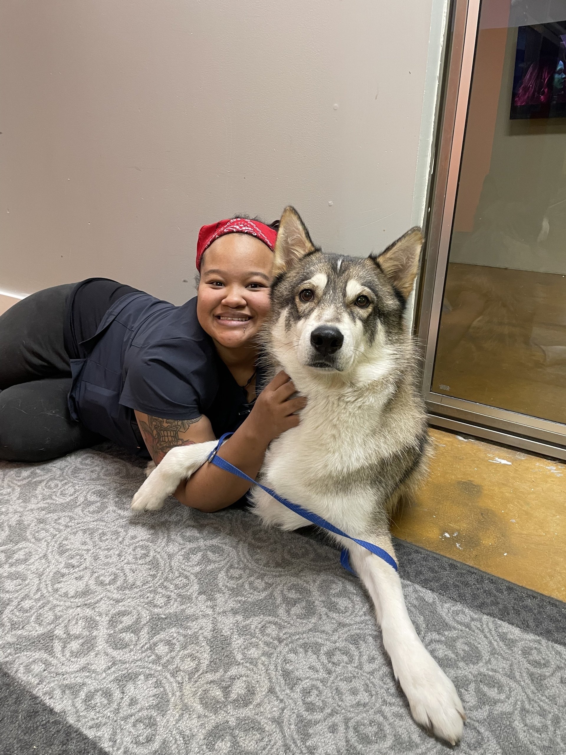 Adventure Pet Resort