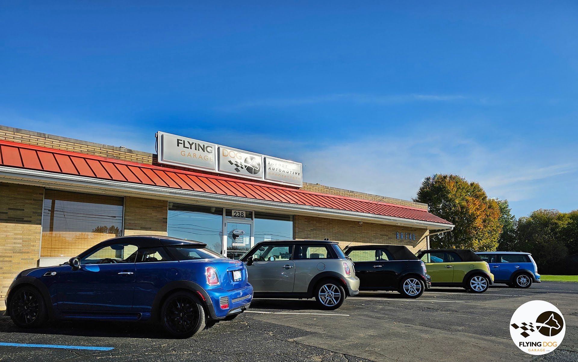 Shop Front | Flying Dog Garage