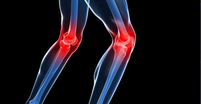 Prótesis cadera y rodilla