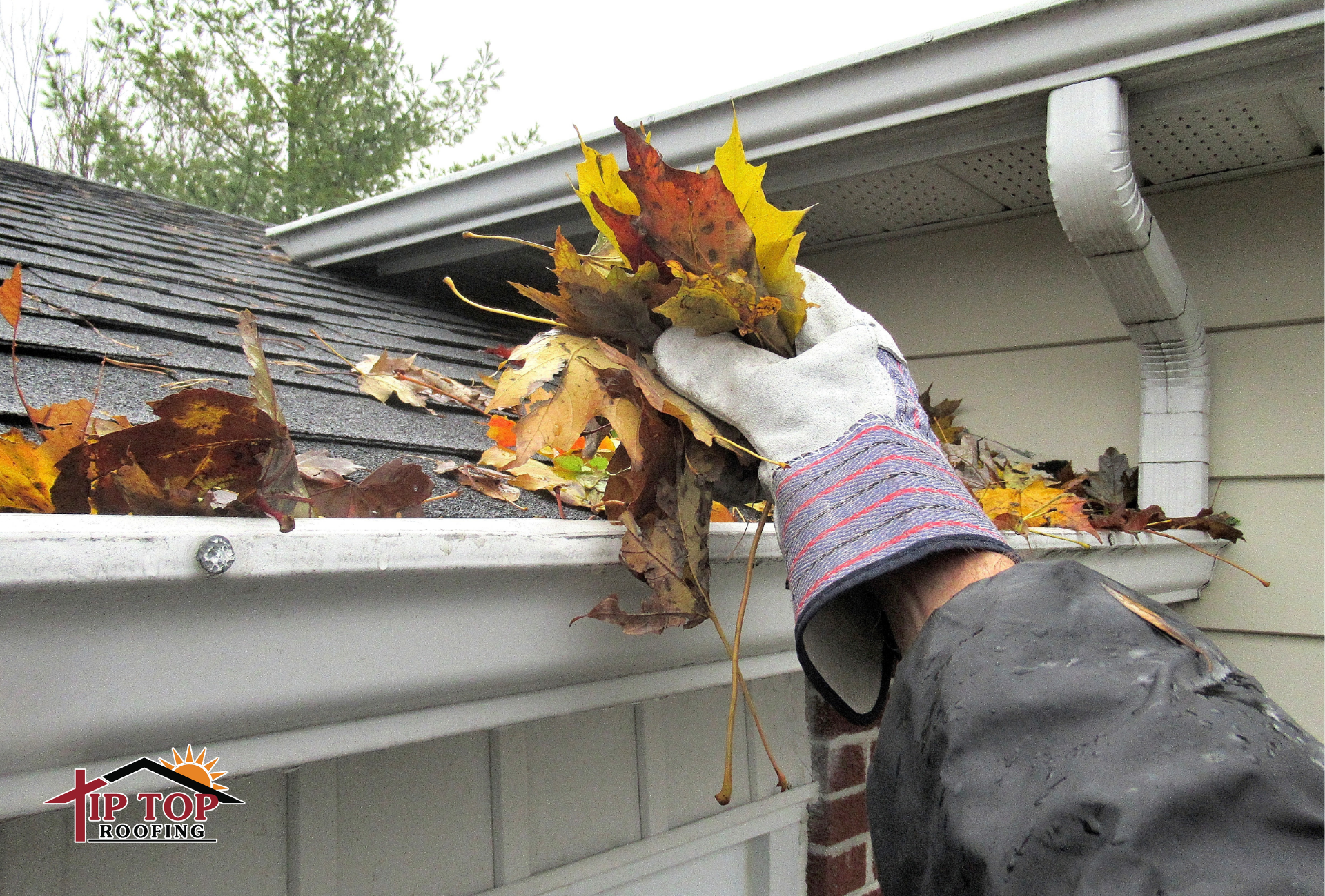 A homeowner removing leaves and debris from their gutters to prevent water damage and roof issues