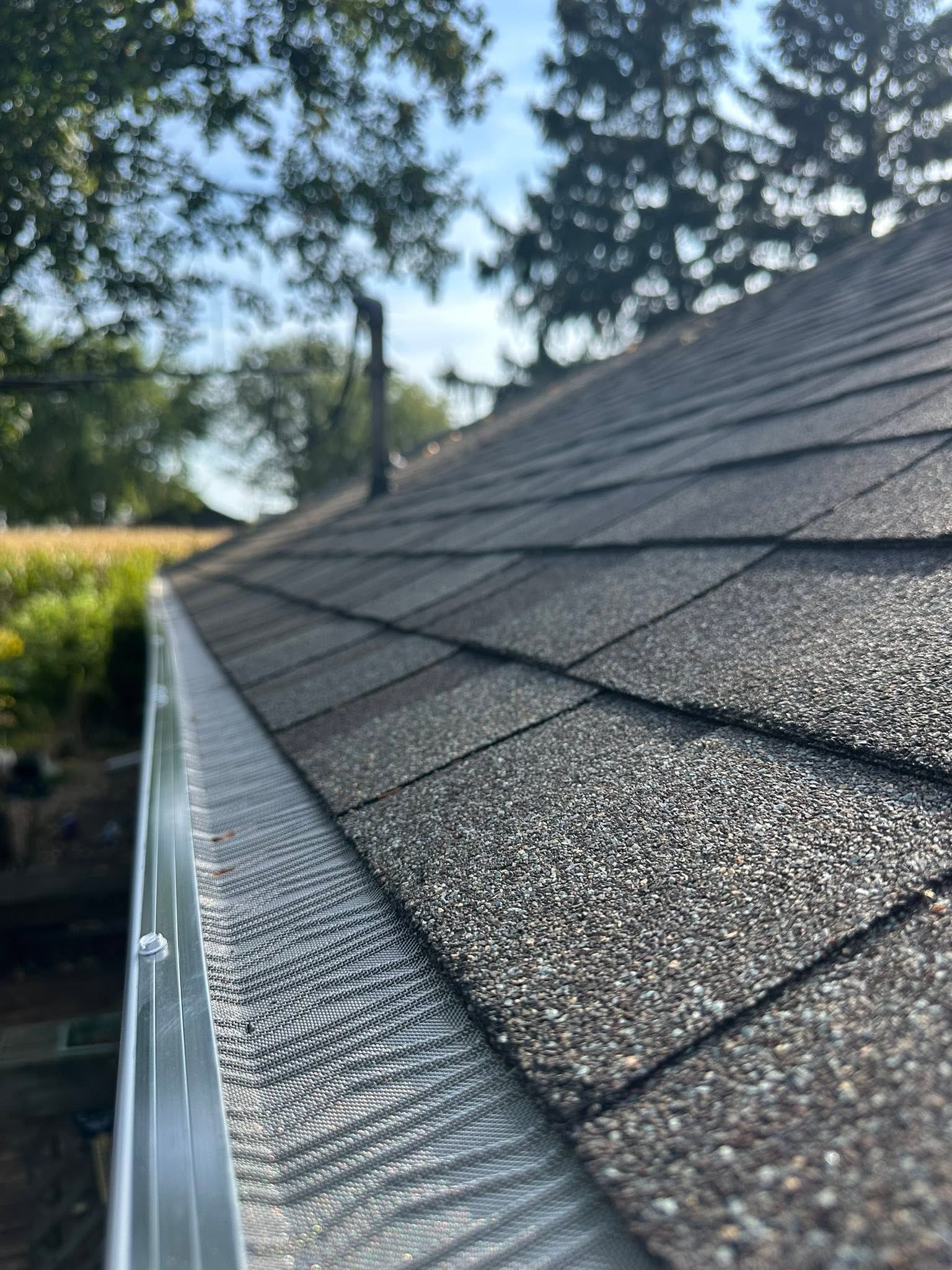 Close-up of asphalt roof shingles and metal gutter edge on a house in daylight