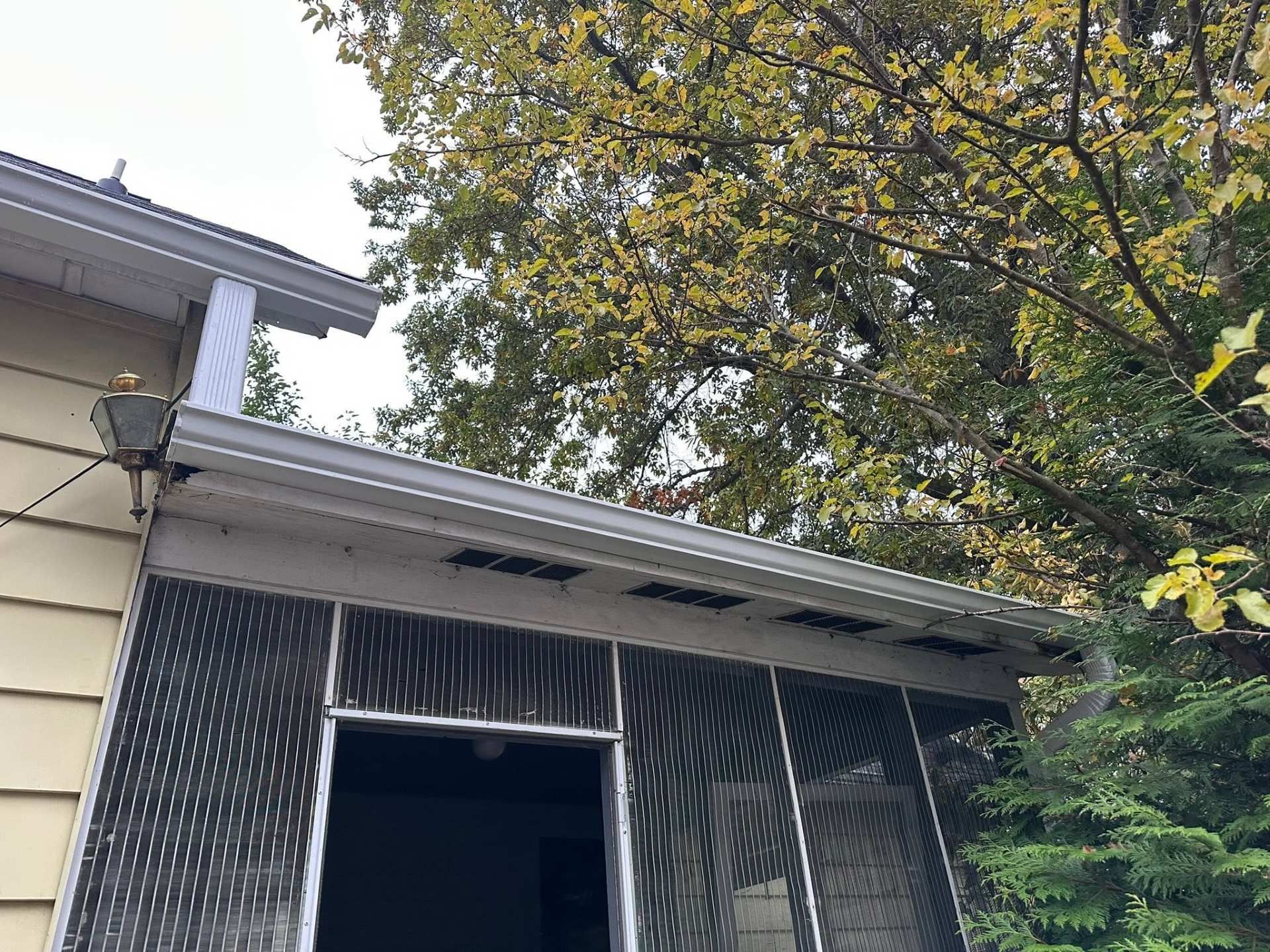 Garage exterior with open dark doorway, white trim, and autumn trees overhead