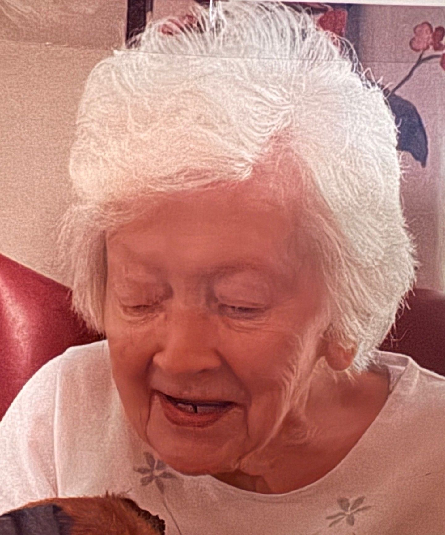 Stephen Leo McNaney