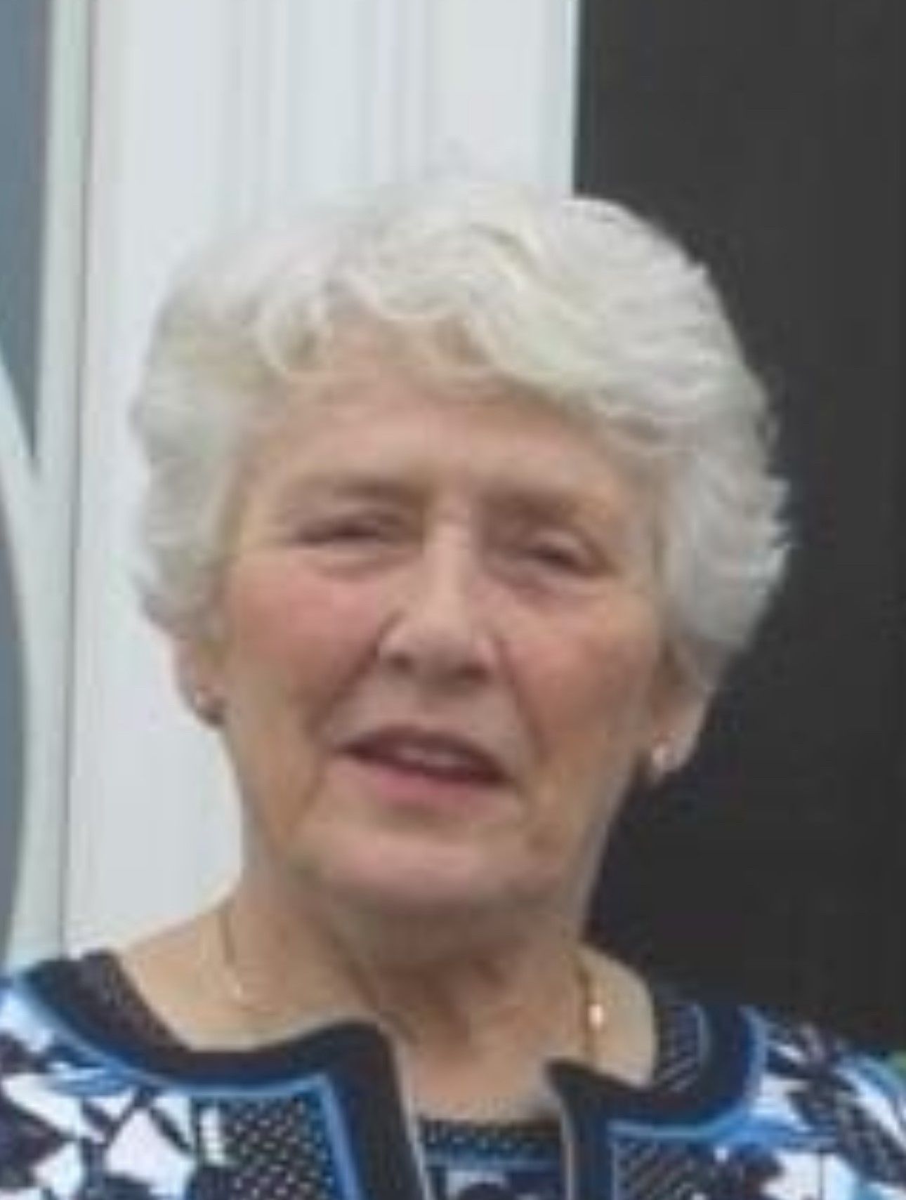 Stephen Leo McNaney