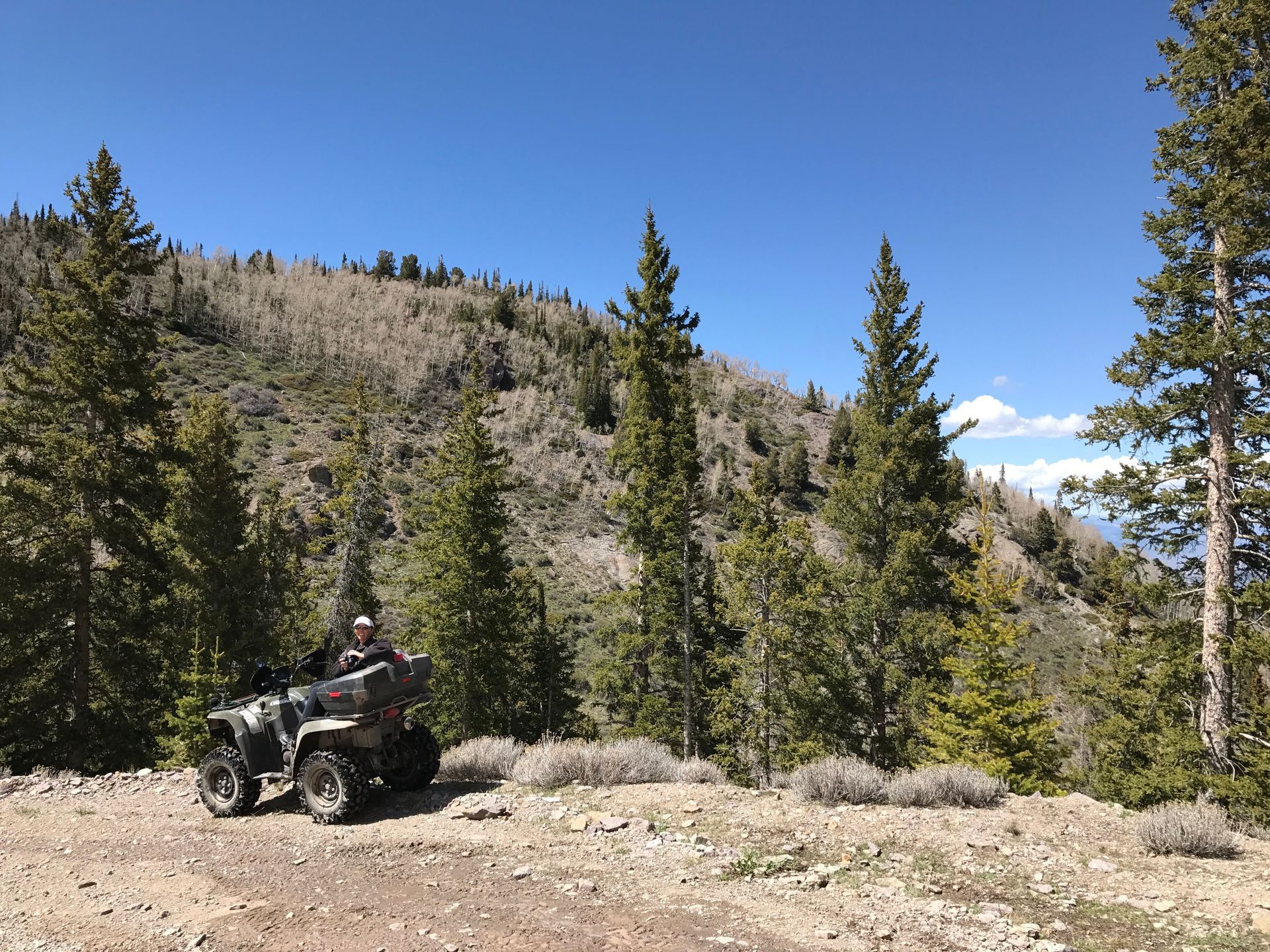 A person sits on an ATV on a gravel trail in a mountain forest with pine trees under a clear blue sky.