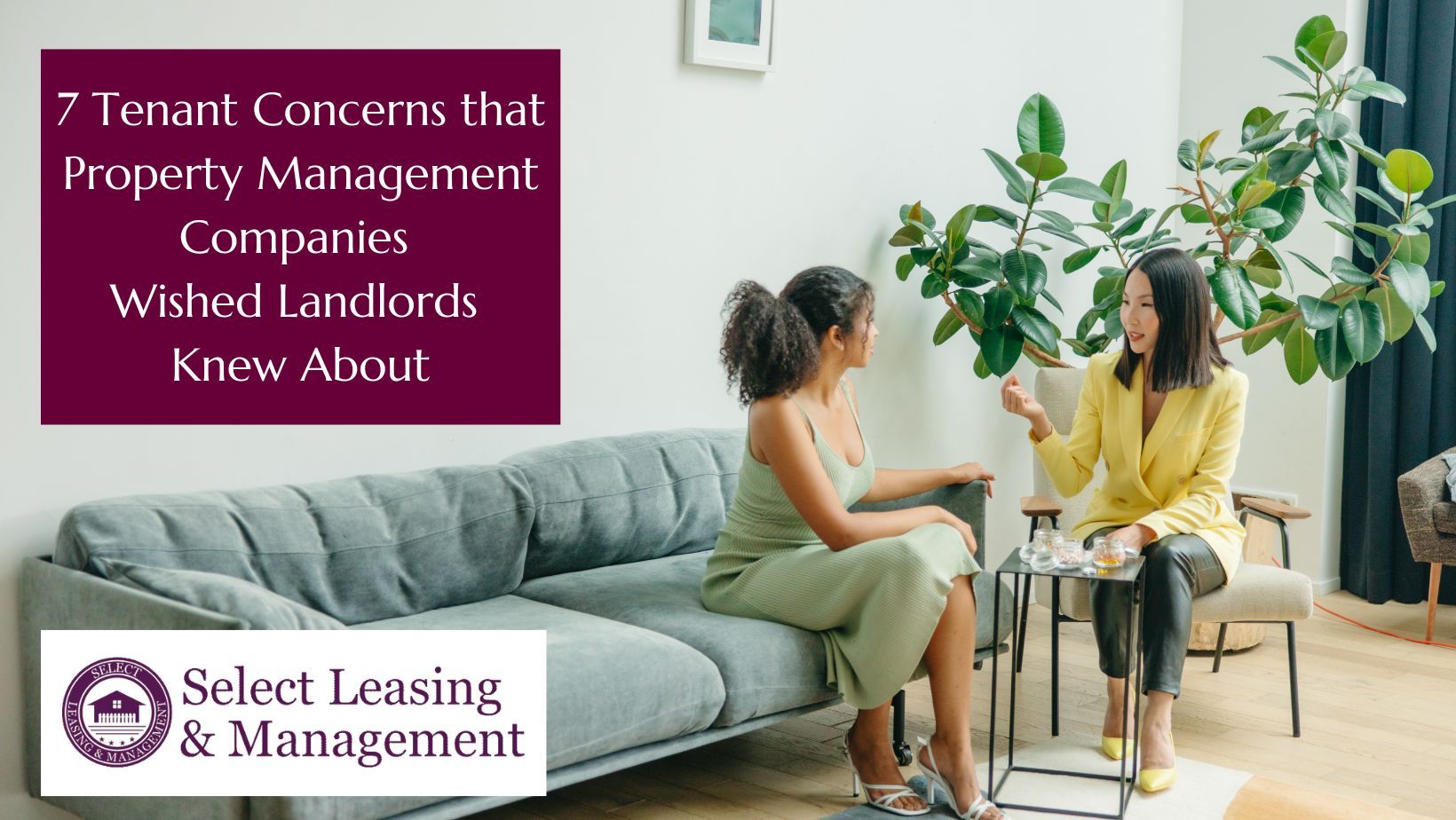 tenant in a rental property