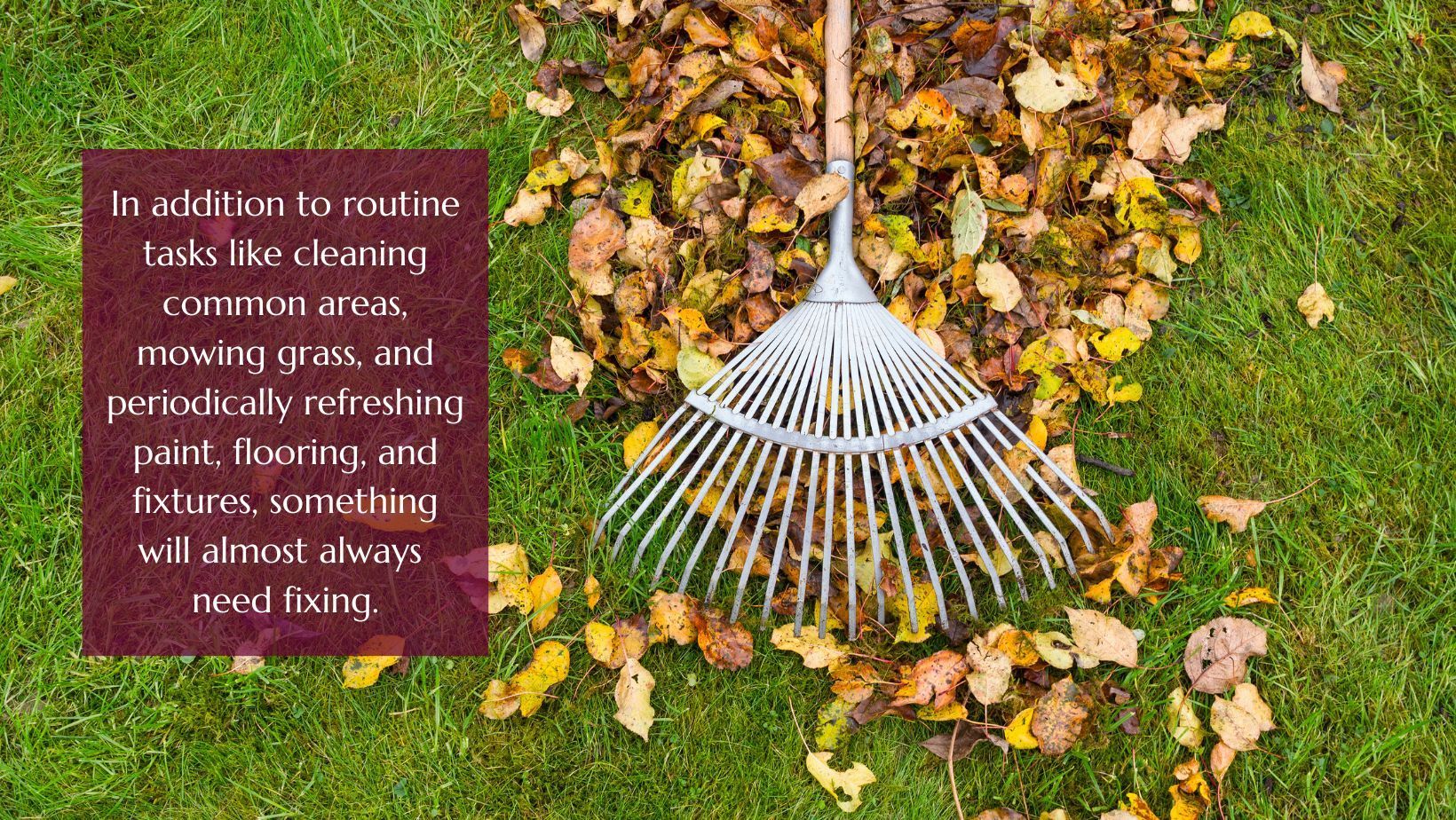 maintaining yard on a rental property