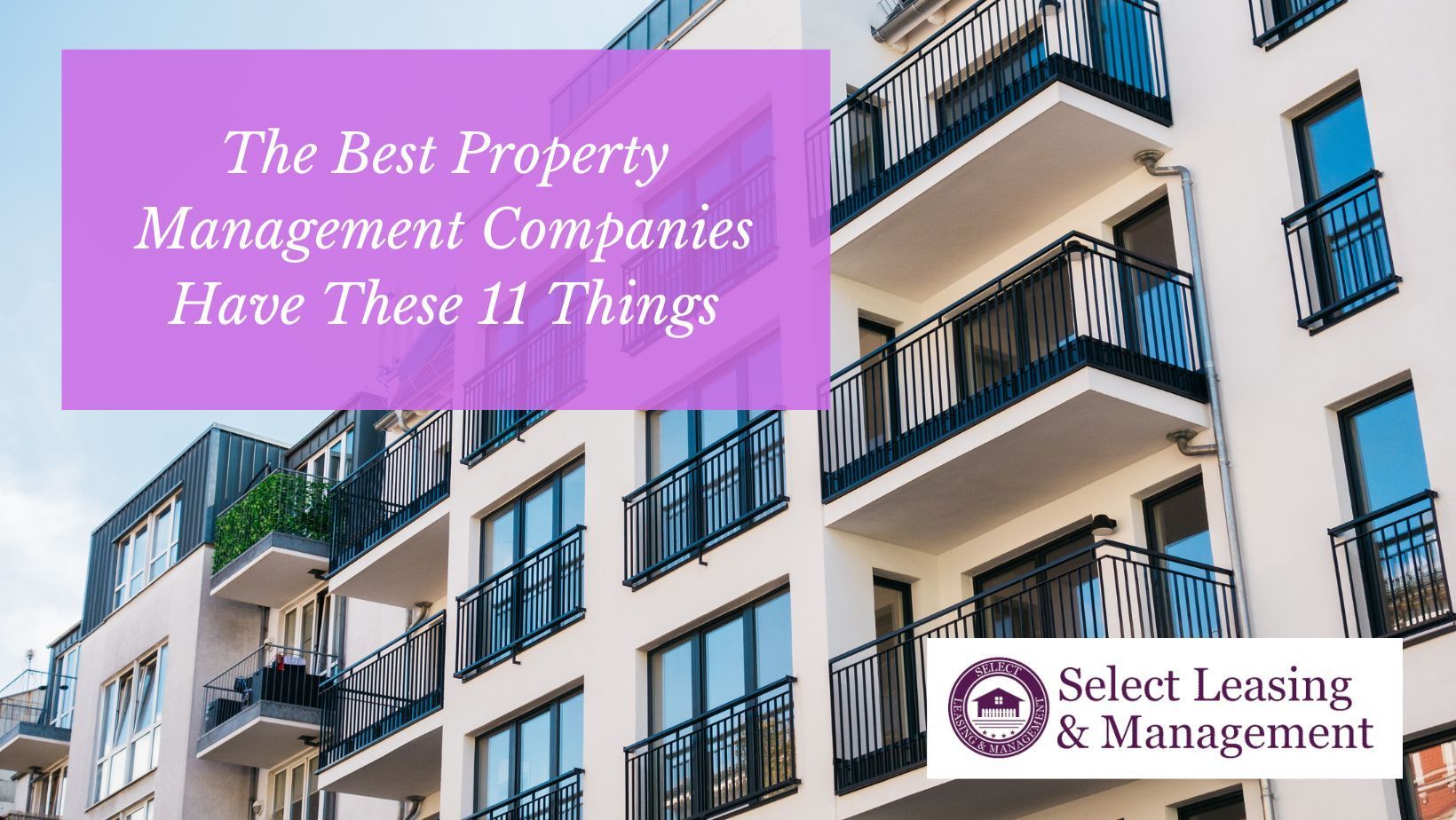 Apartment for rent by best property management company