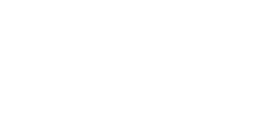 logo-image