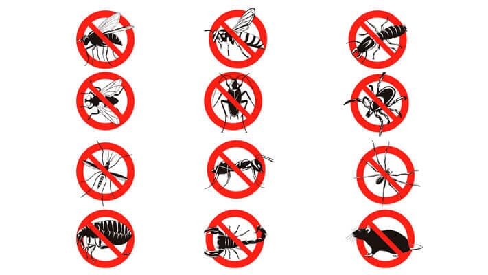 UNIVERSAL FUMIGACIONES - control de maleza