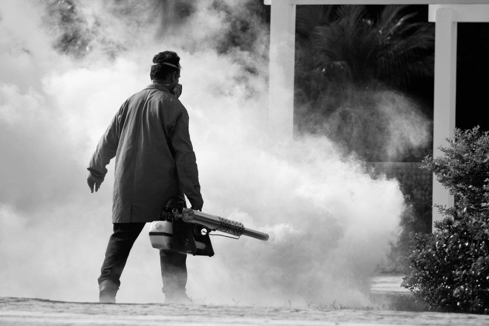 UNIVERSAL FUMIGACIONES  - plagas