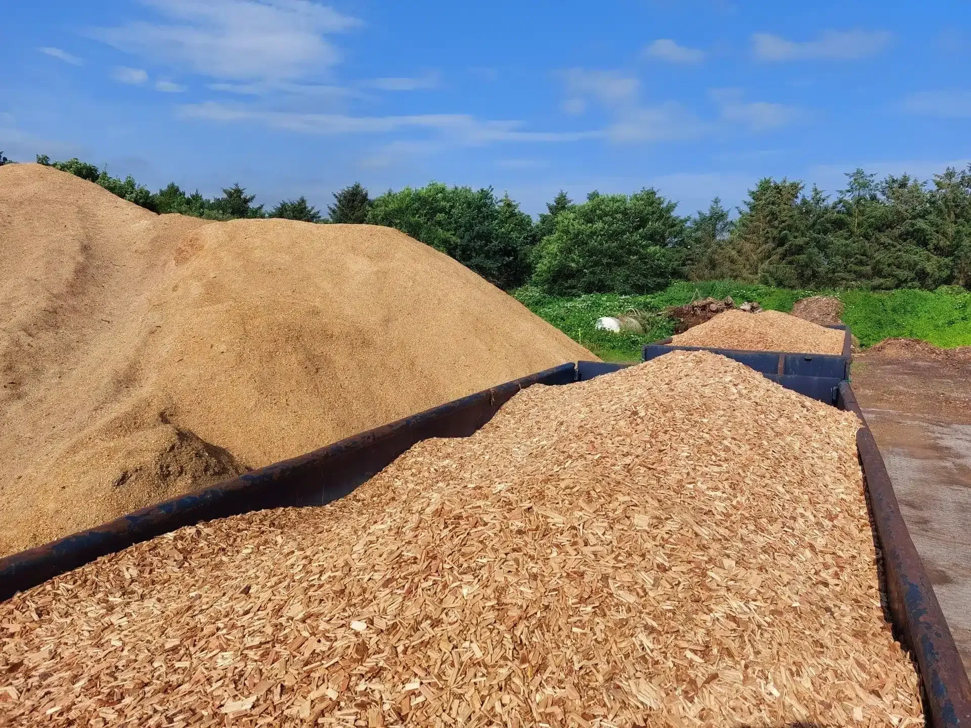 Store bunker af brune træflis i en udendørs have under en blå himmel med træer i baggrunden