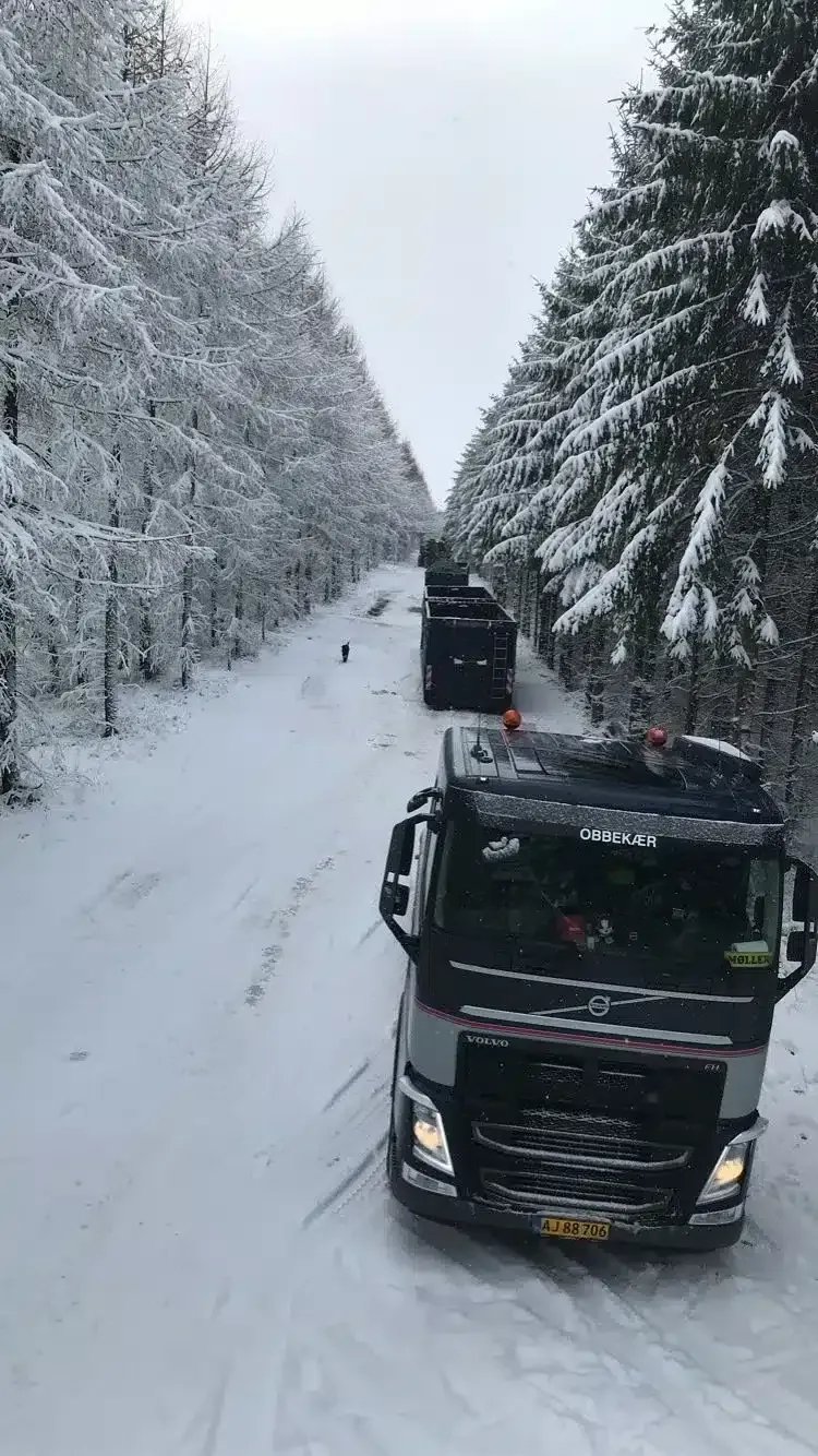 Snedækket vej med to lastbiler kørende mellem snedækkede træer.