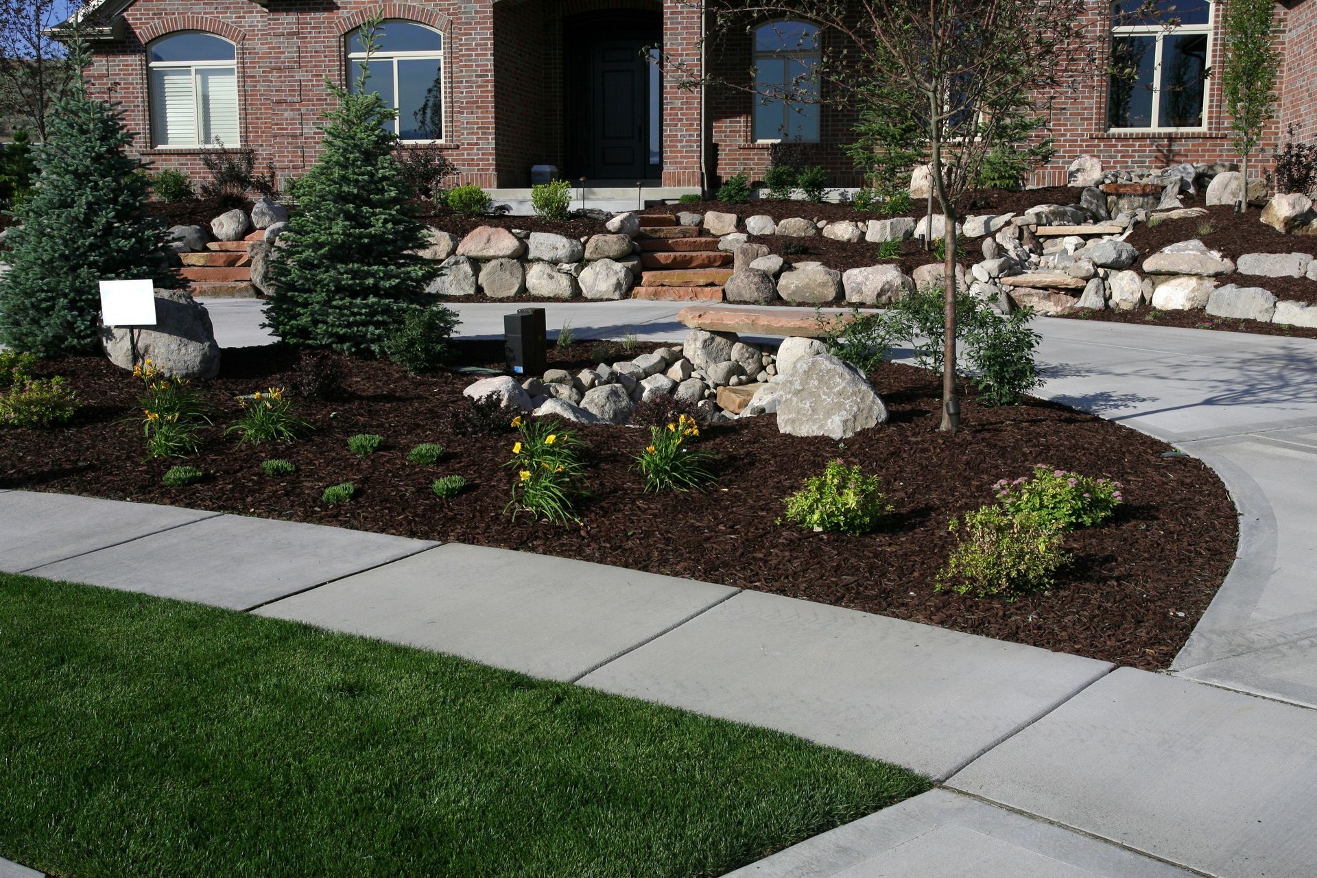 A garden filled with lots of plants and flowers