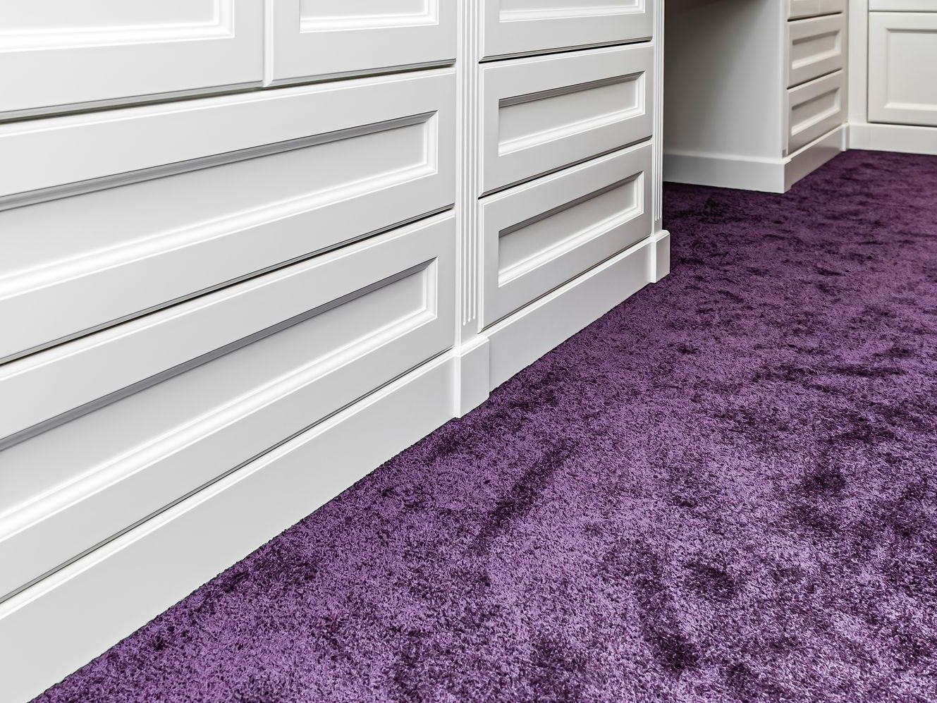 White paneled walls and doors beside a purple carpeted hallway