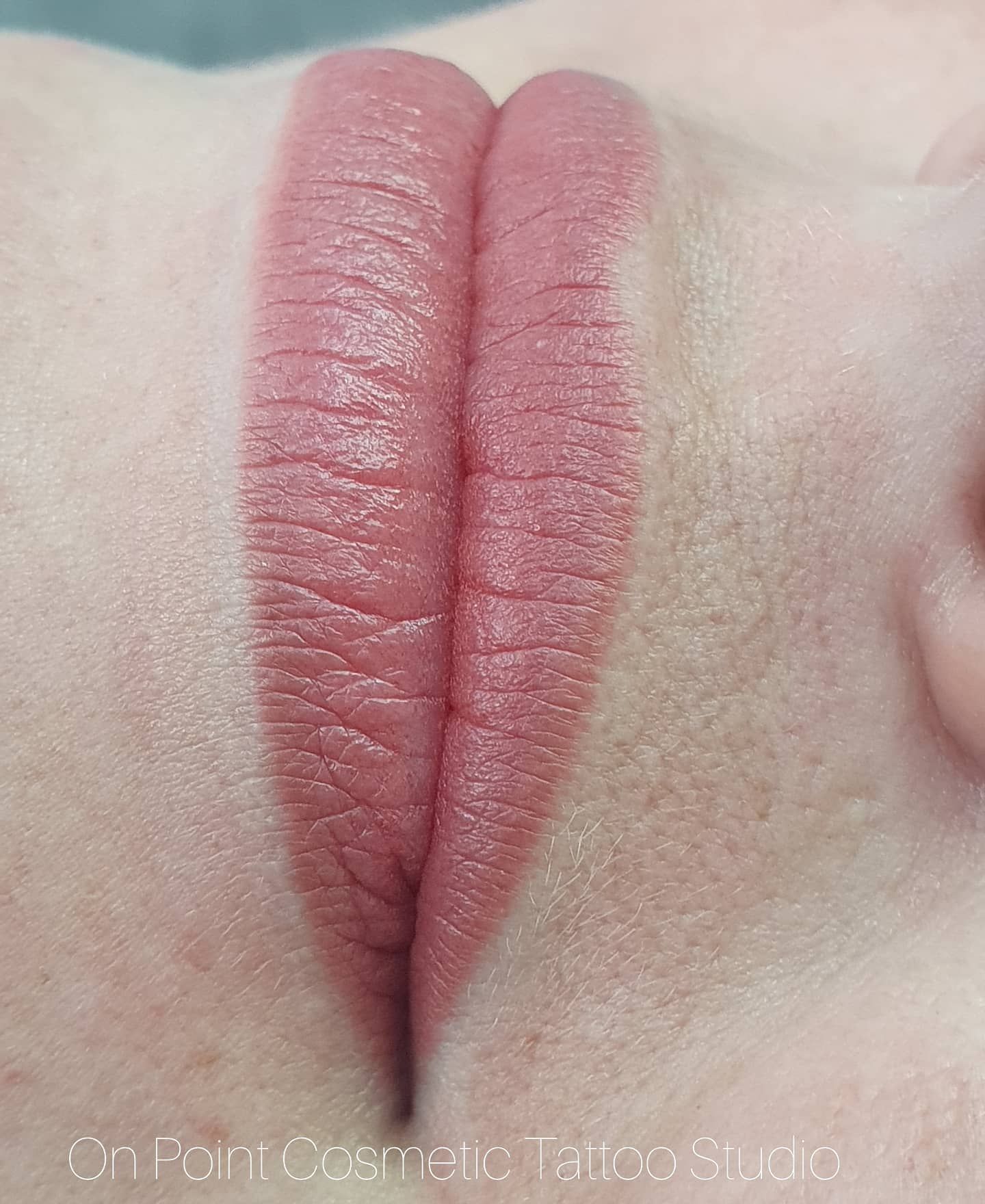 Close-up of Freshly Tattooed Lips With a Natural-looking Pink Color — On Point Cosmetic Tattoo Studio In Buderim, QLD