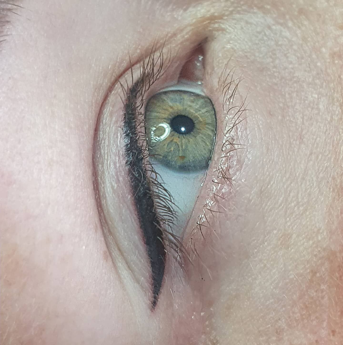 Close-up of an Eye With Green Iris, Black Eyeliner, and a Light-skinned Eyelid — On Point Cosmetic Tattoo Studio In Buderim, QLD