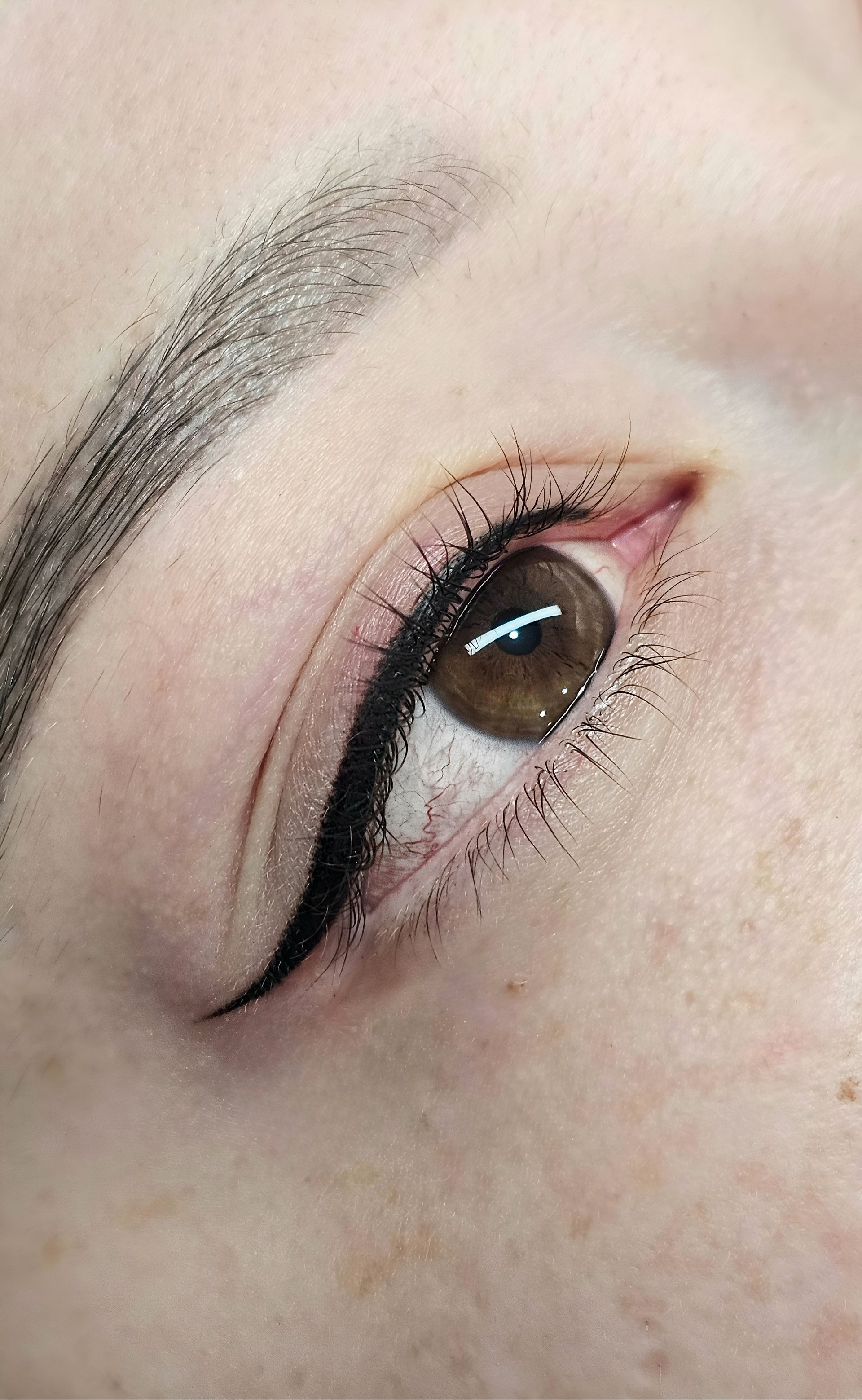 Close-up of a brown eye with winged eyeliner and a shaped eyebrow on fair skin — On Point Cosmetic Tattoo Studio In Noosa, QLD