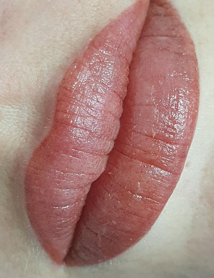 Two Pink, Ridged Objects, Possibly Lips, Partially Closed — On Point Cosmetic Tattoo Studio In Buderim, QLD