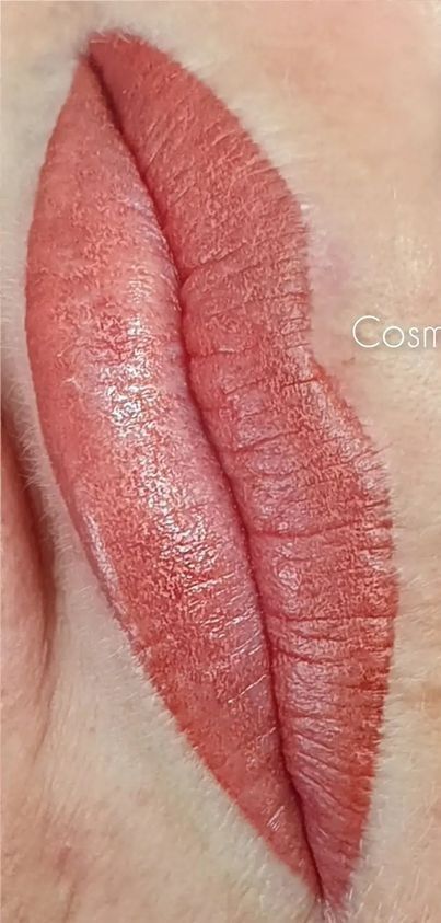 Close-up of a Person's Lips. The Lips Are Colored a Pinkish Hue — On Point Cosmetic Tattoo Studio In Buderim, QLD