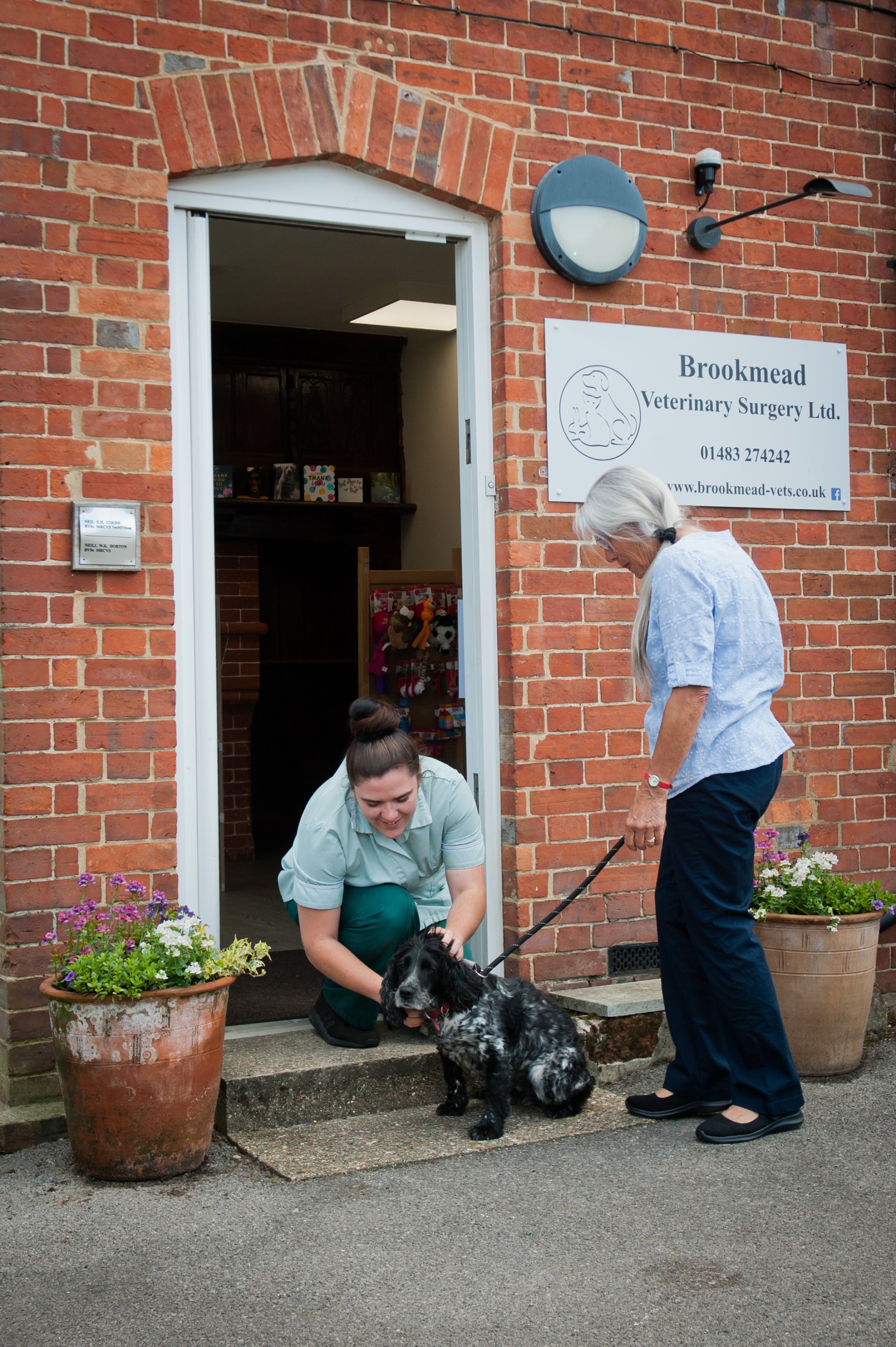 Local vet Brookmead Veterinary Surgery