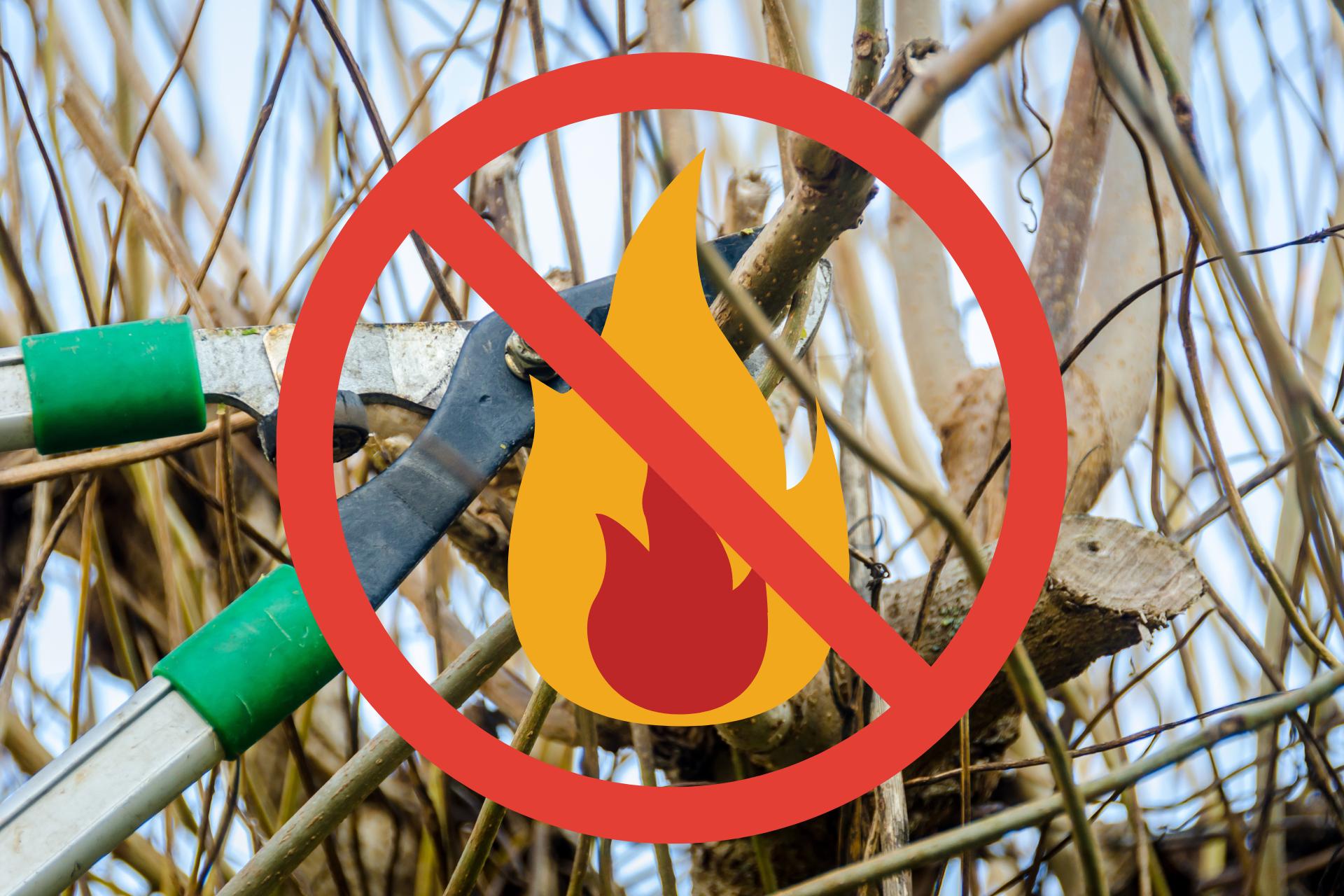 3-Fire_Abatement_CRD_071524_CC image