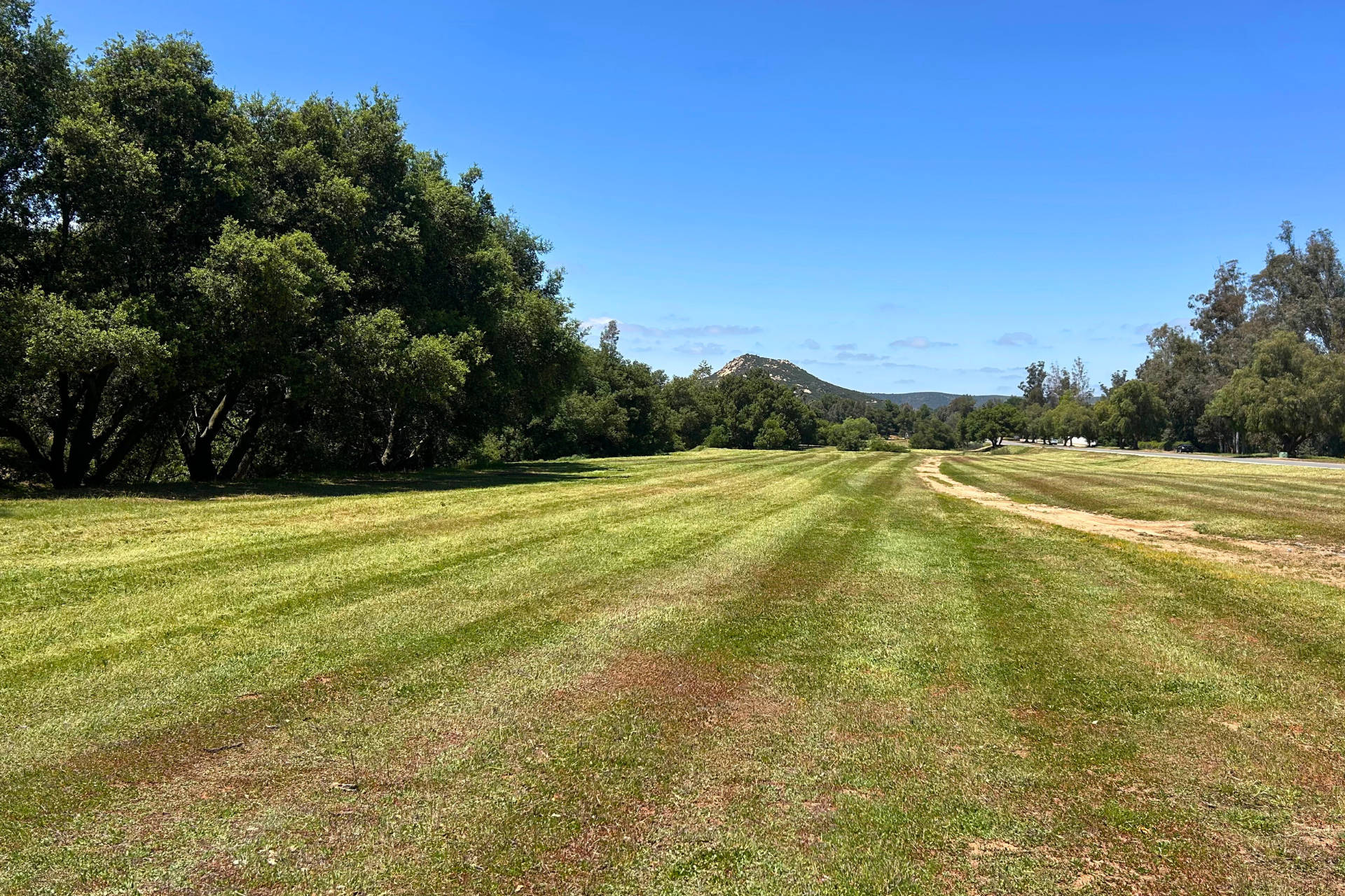 Annul_Mowing image