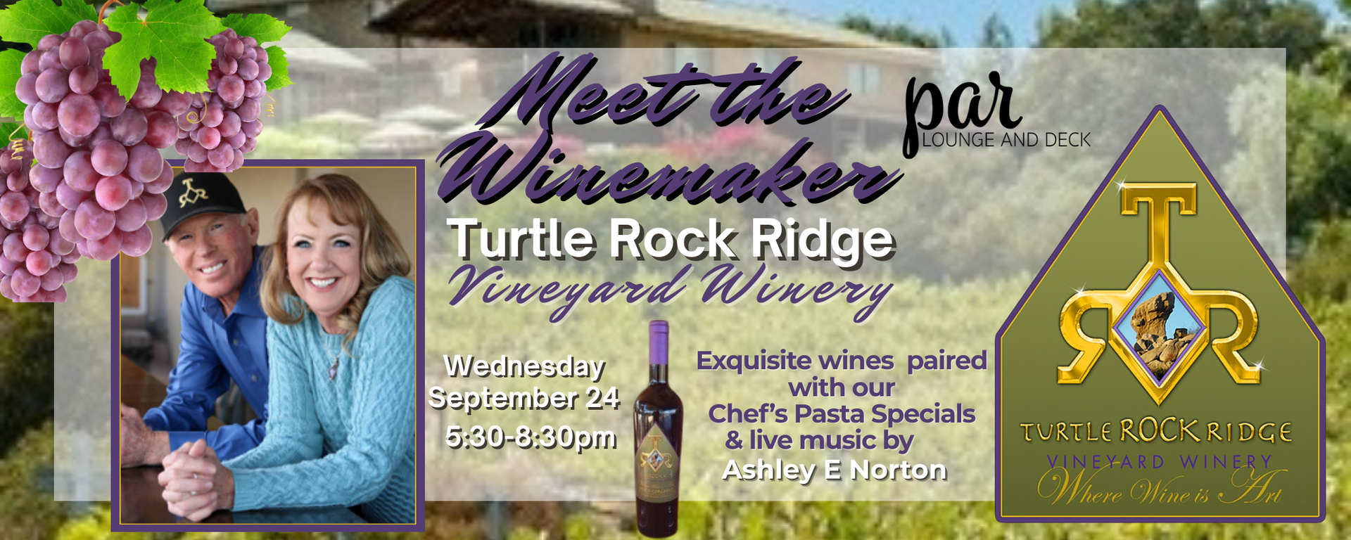 Banner_Turtle_Rock_0924 image