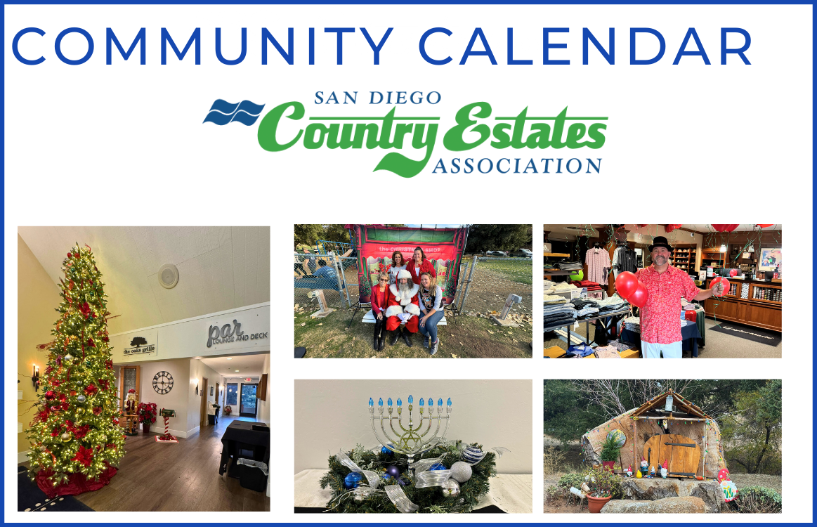 Calendar_Dec image