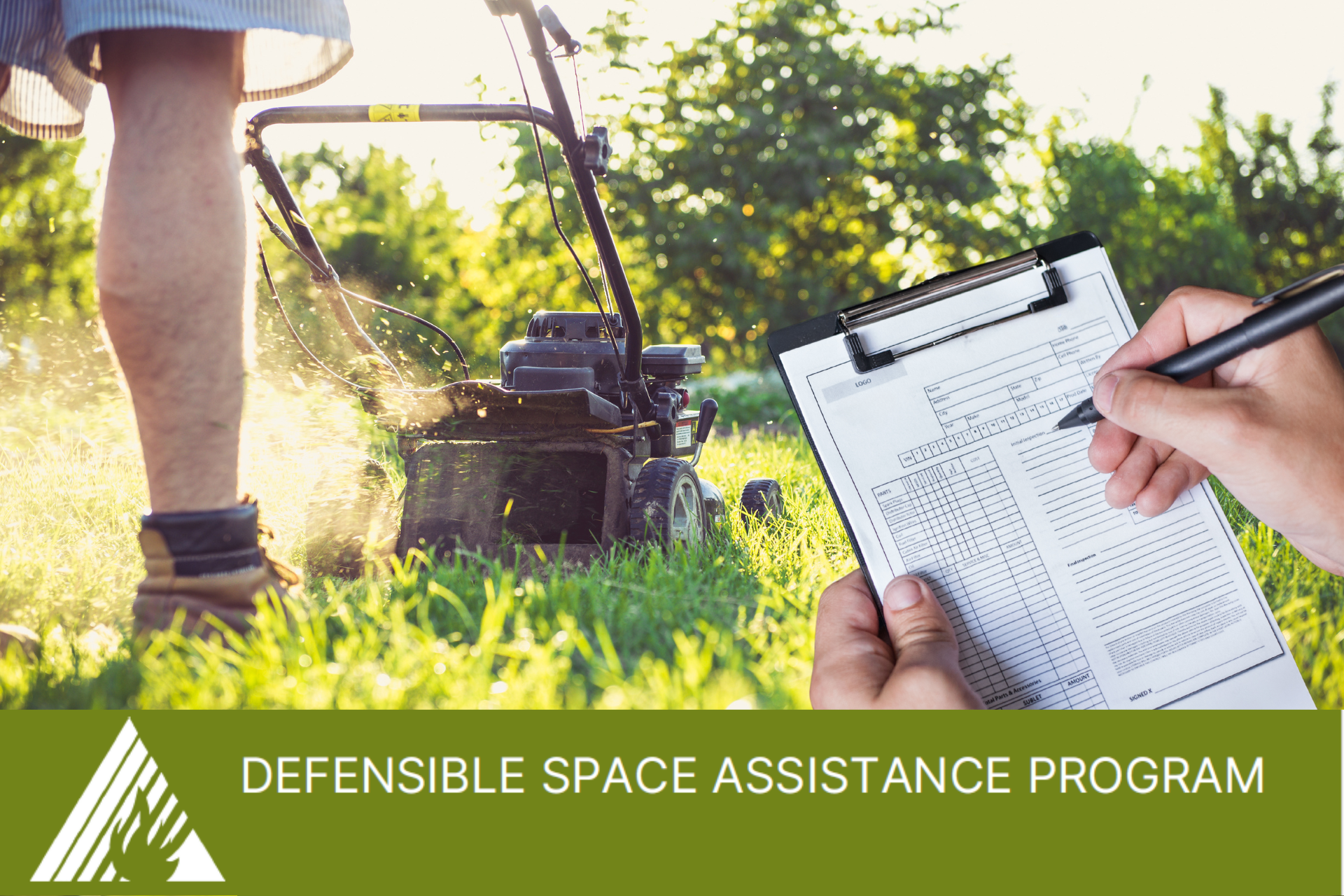 Defensible-Space-Assistance-ed5be8d9 image