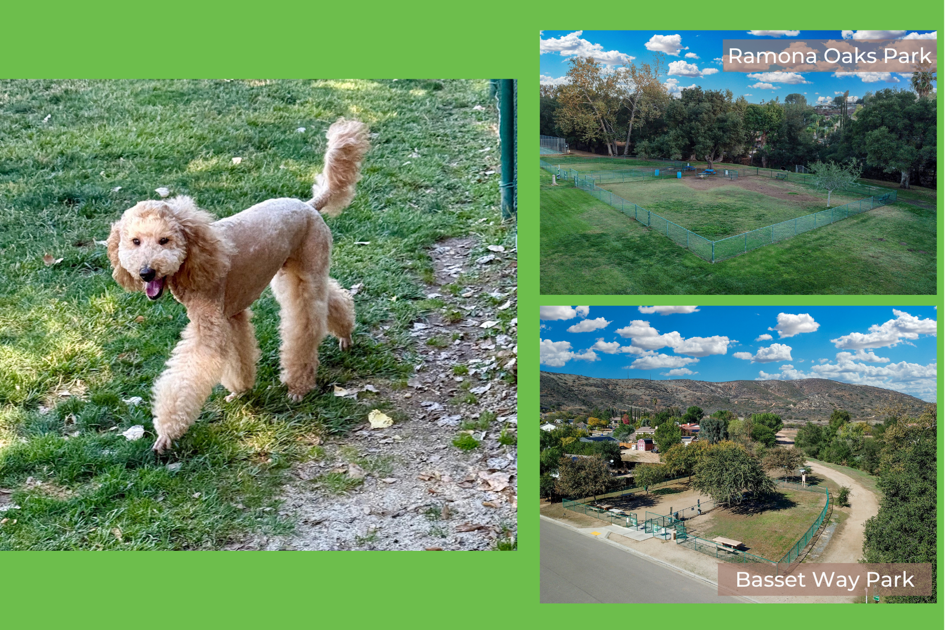 Dog_Parks_CC-7120cbe9 image