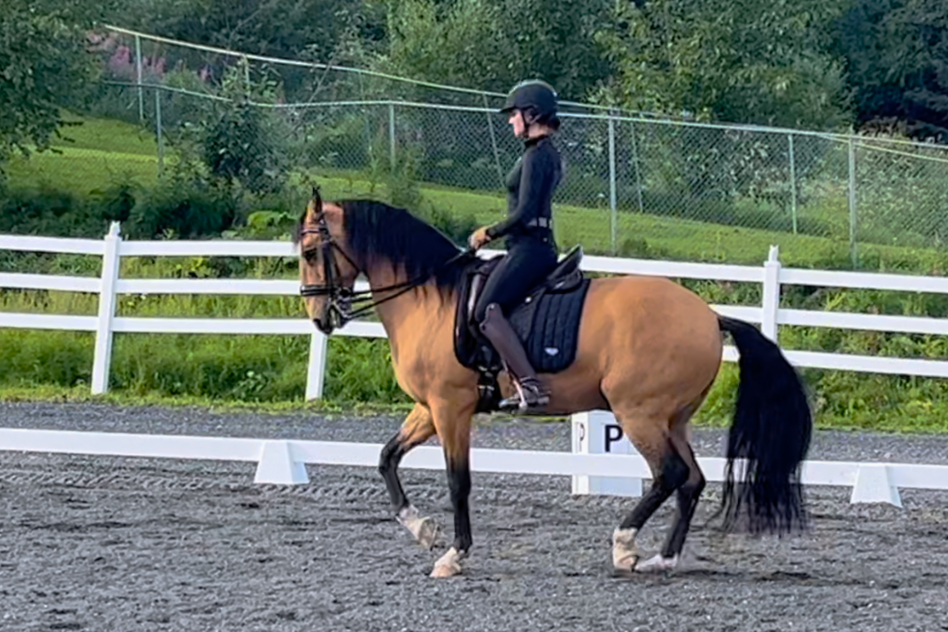 EQ_Trainer_Erin_Downey image