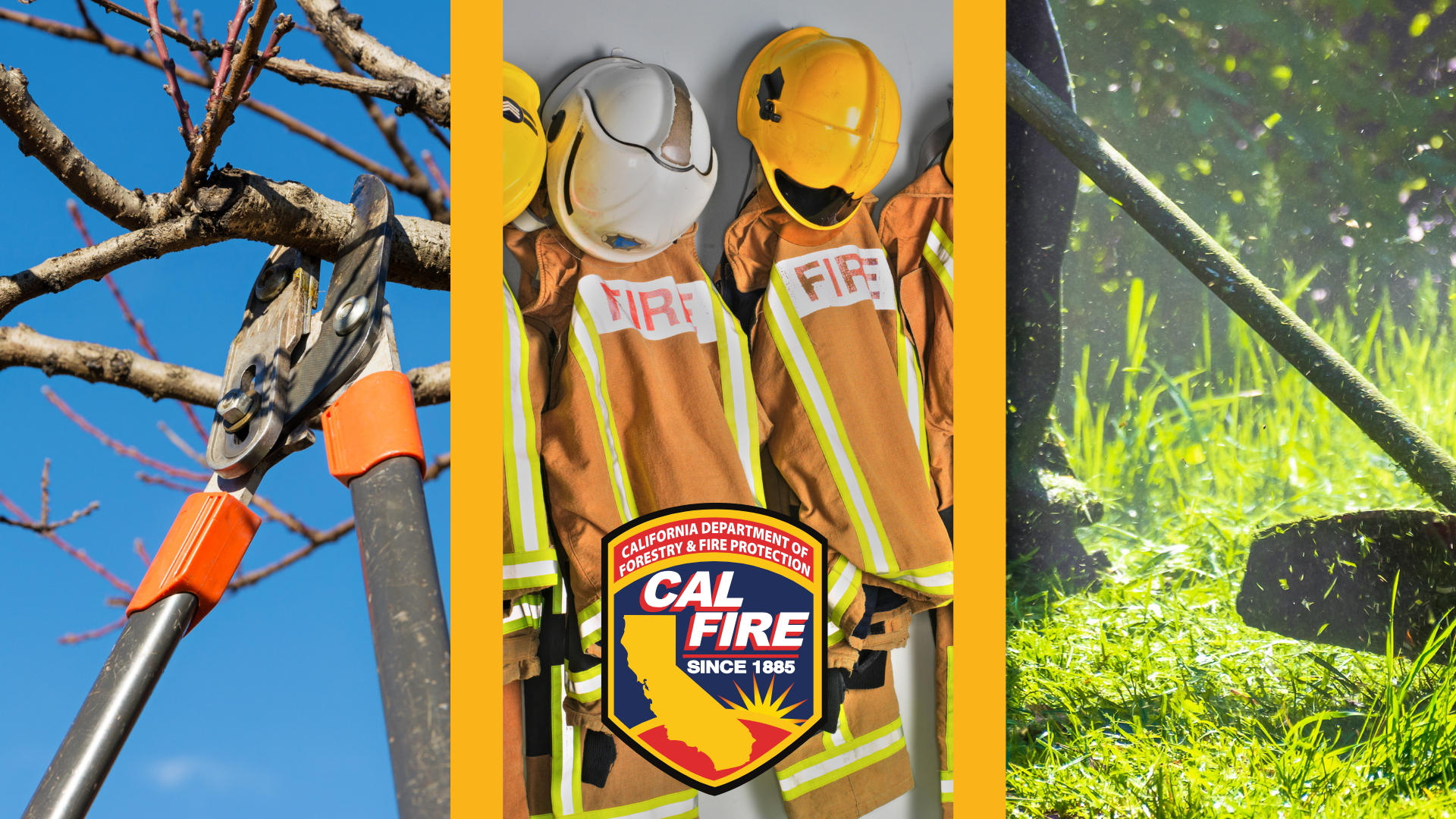 FIREWISE-EVENT image