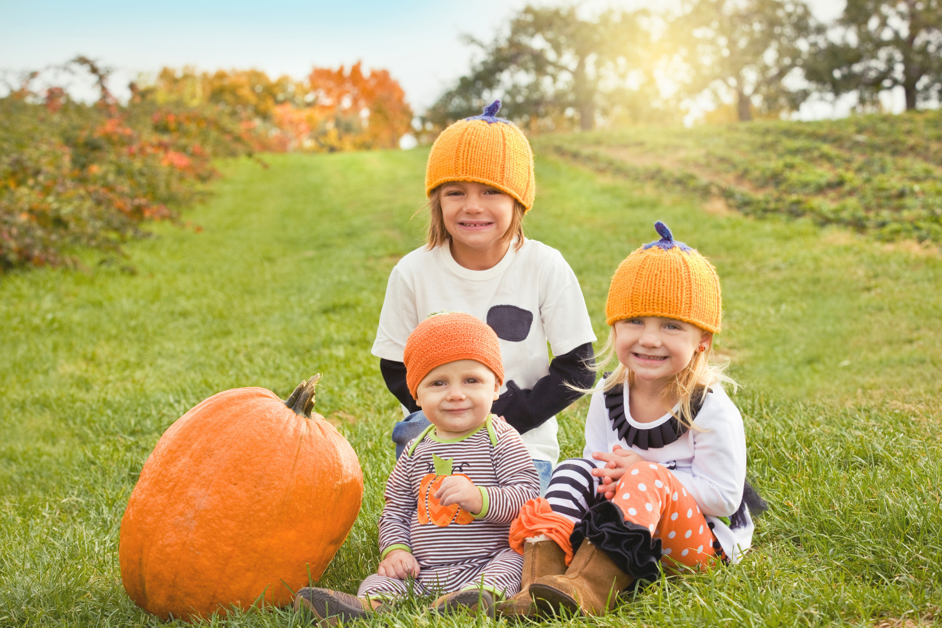 FallFun_CC__100427 image