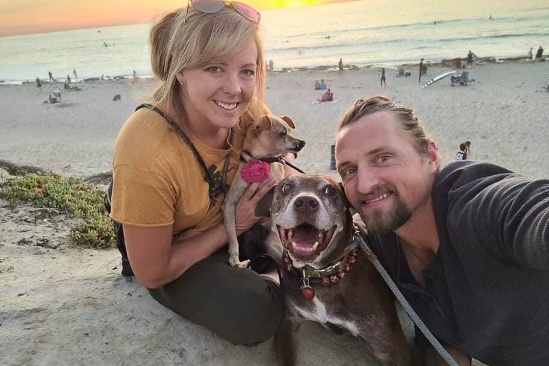 Frosted_Faces_071924_CC image