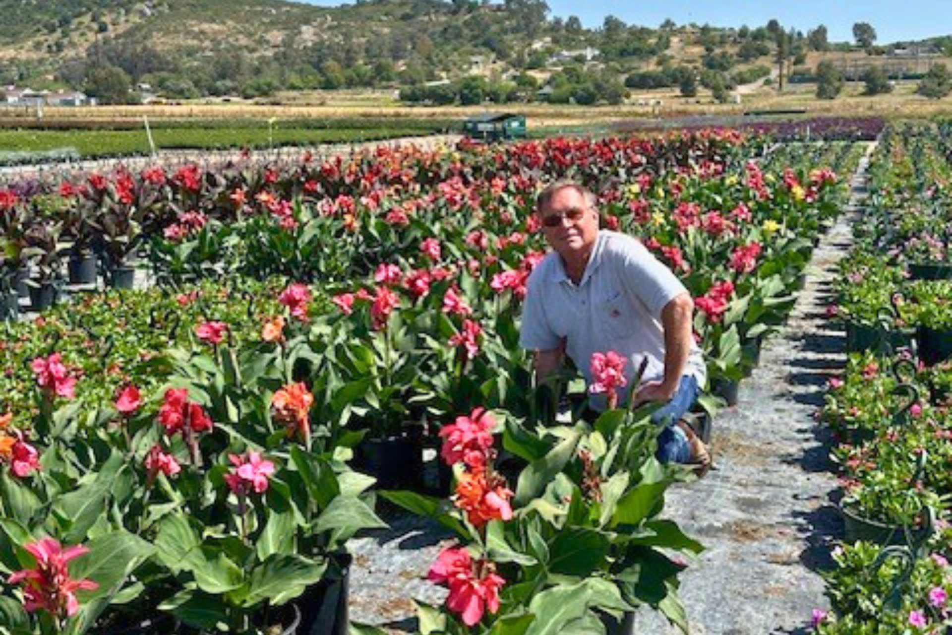 Gardening_053124_Header_2 image