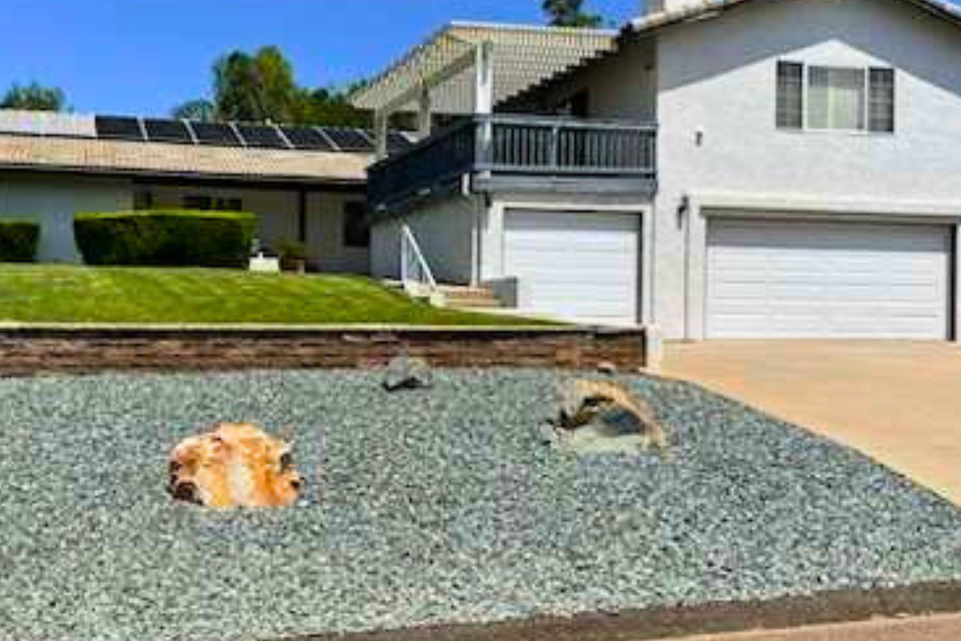 Hom_Aug_081624_CC image