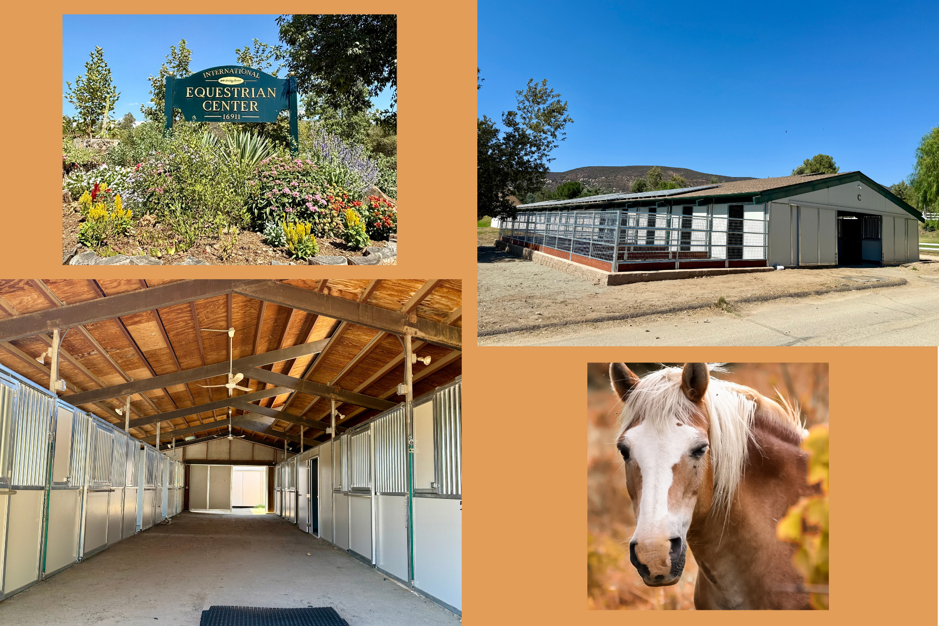 Horsefeathers image