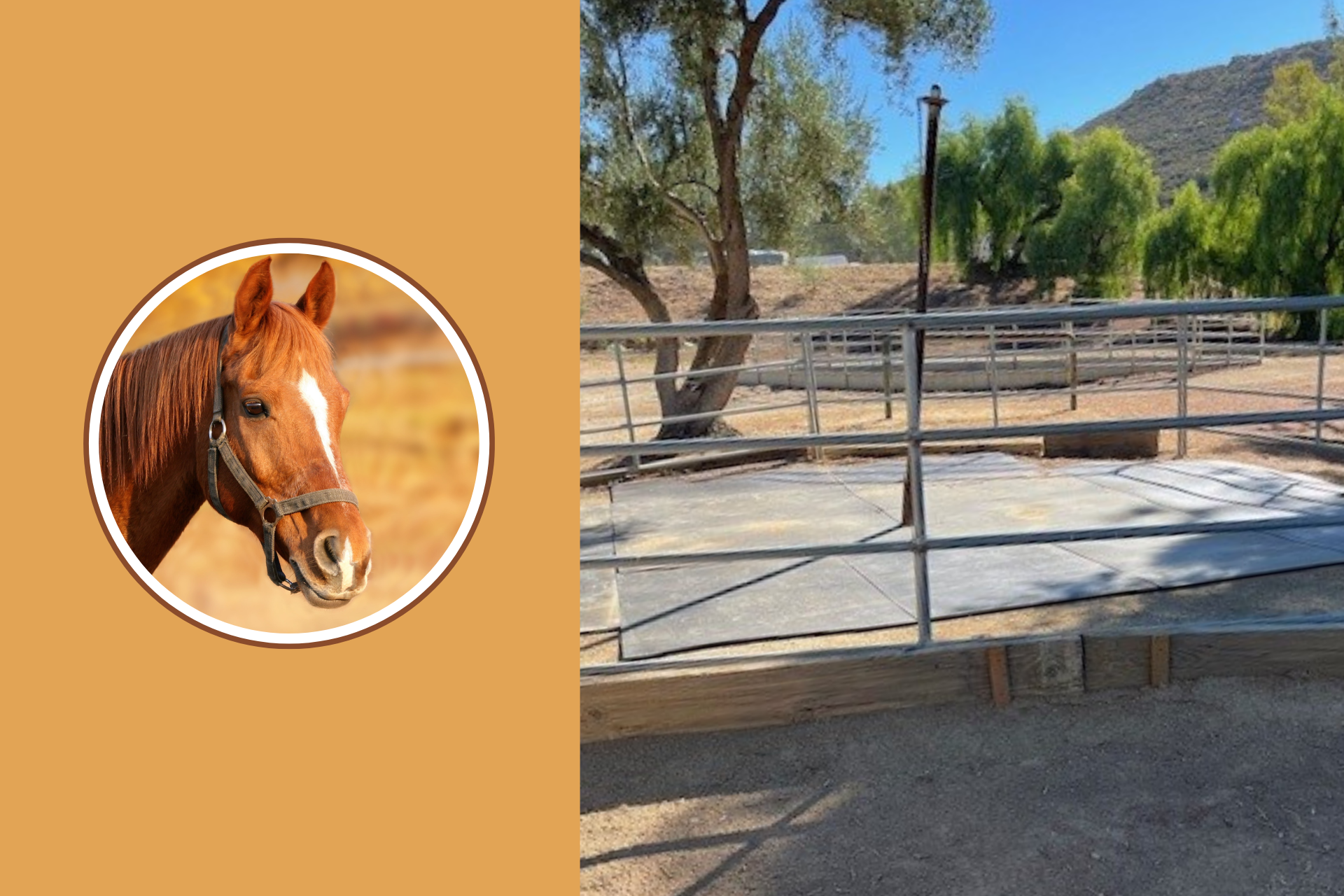 Horsefeathers_August_Header_CC-07252e8a image