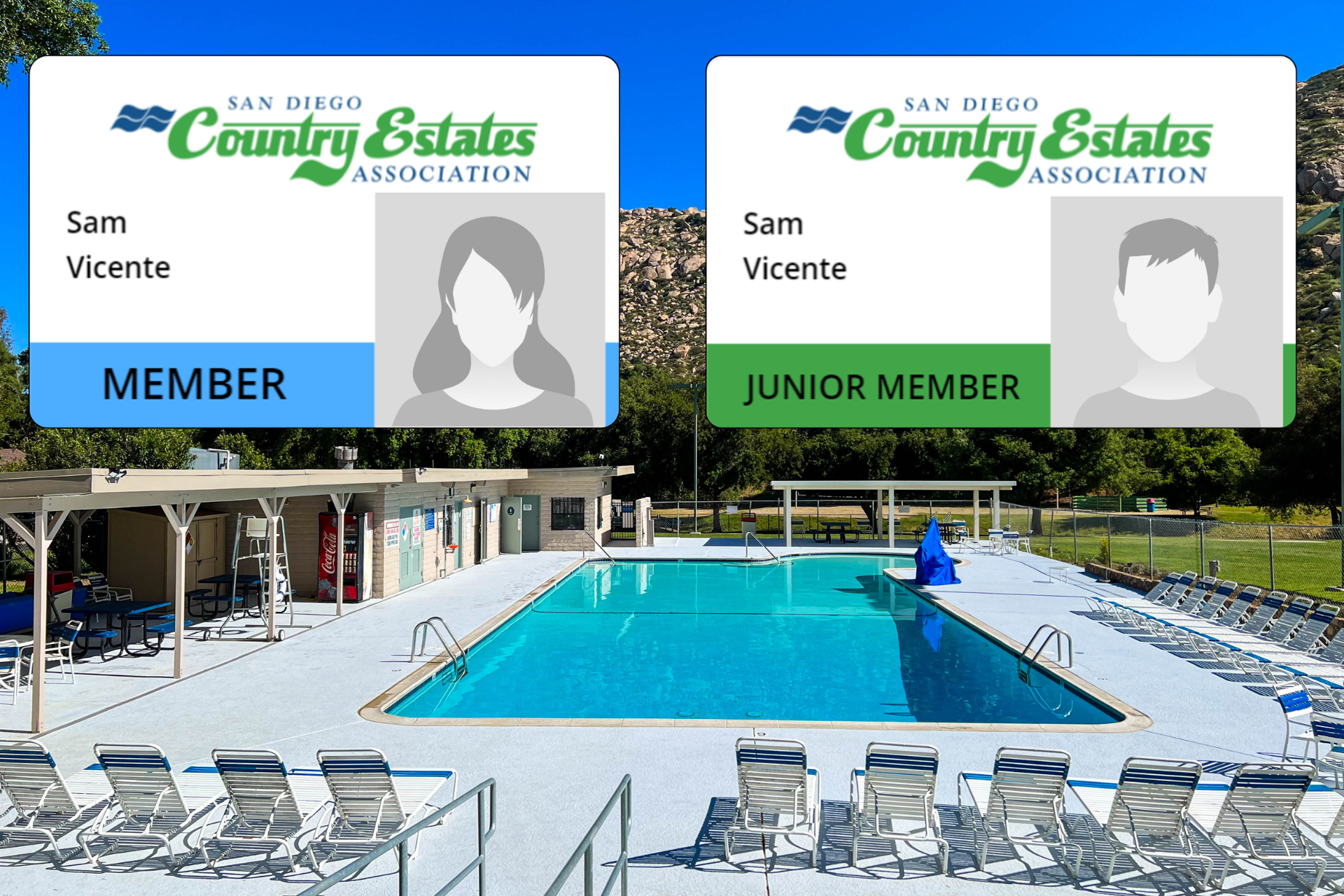 ID_Cards image
