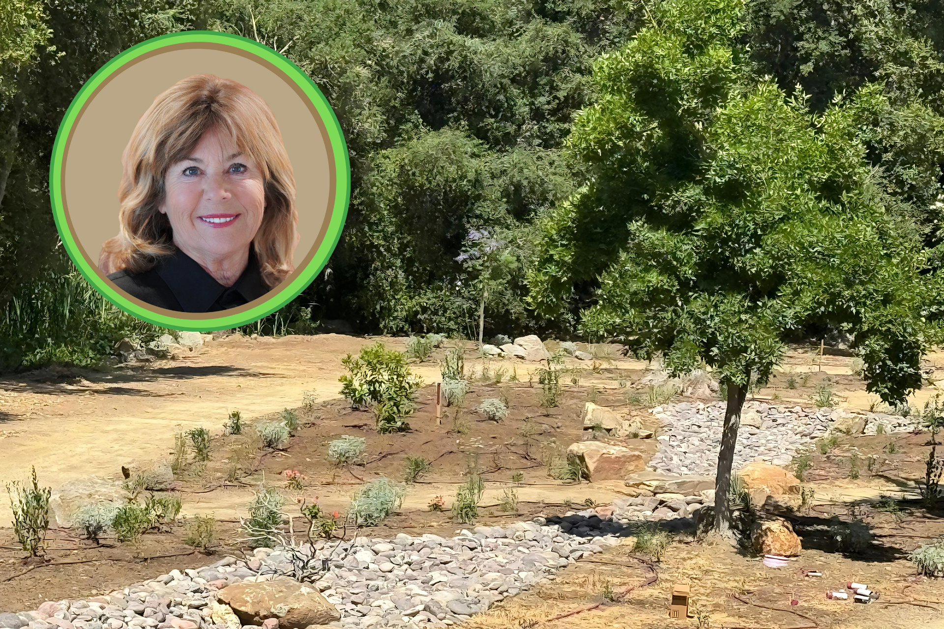 LS_Header_062824_CC image