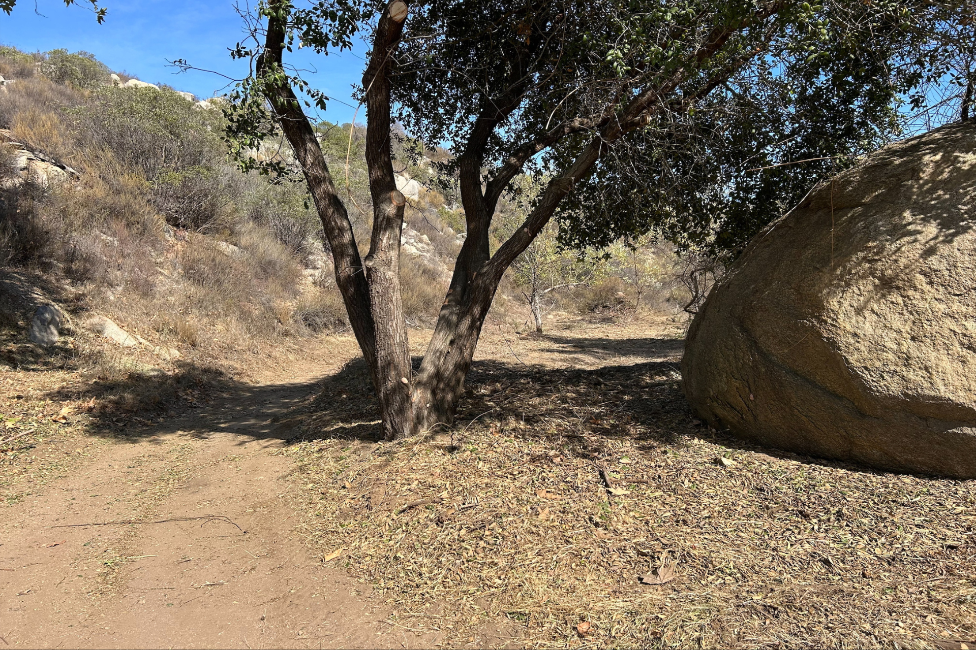 Landscape_Clear image