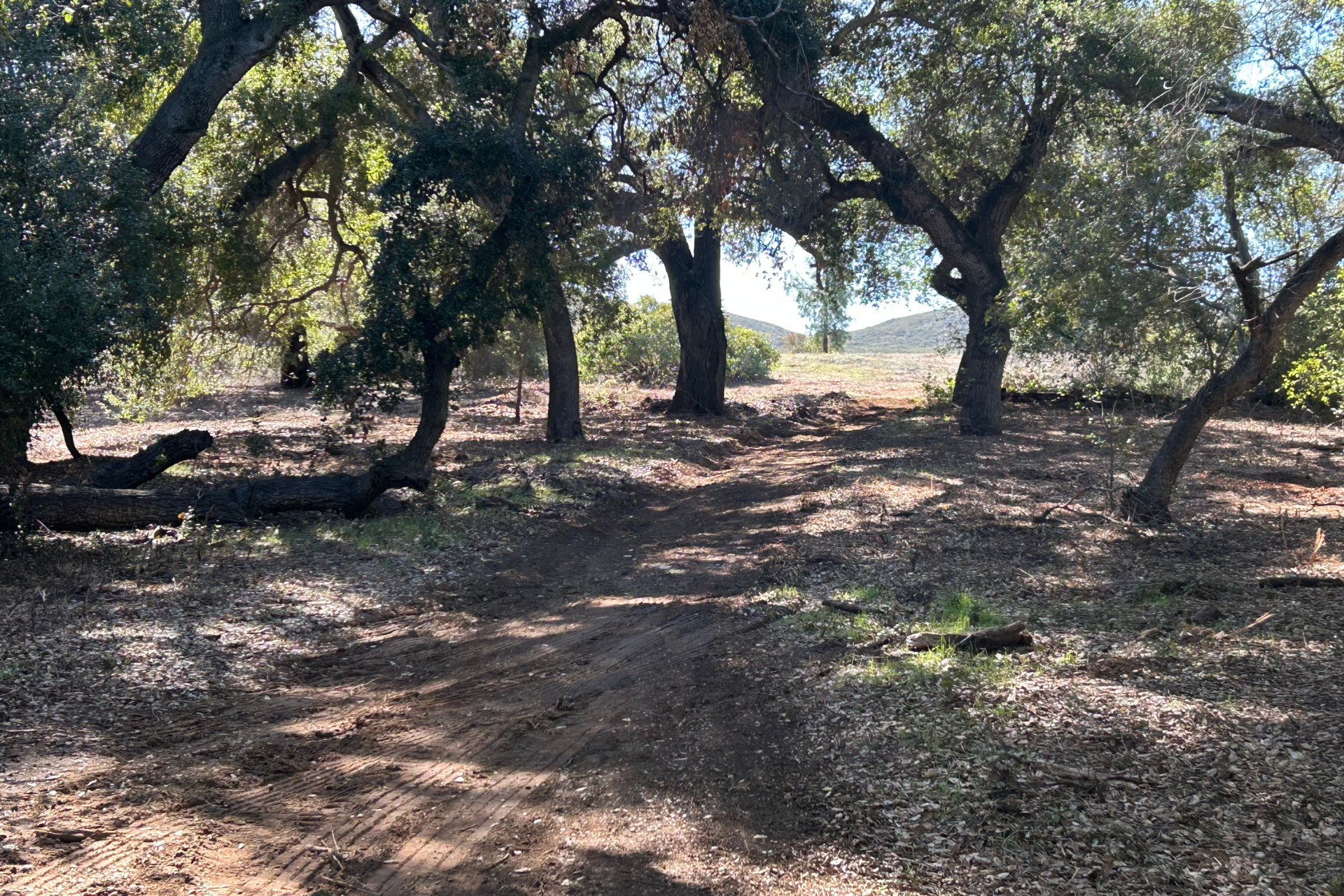 Landscape_Cope_Trail image