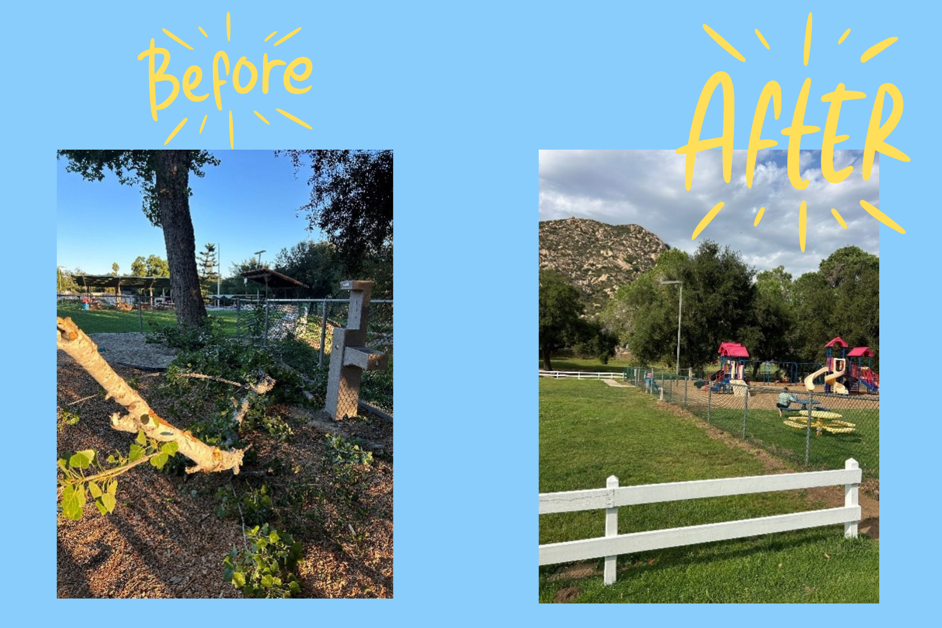Landscape_Tree-Remove image