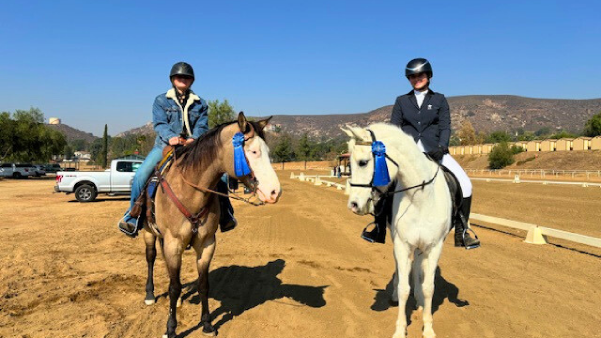 Regal_Horse_CC-e2a904db image