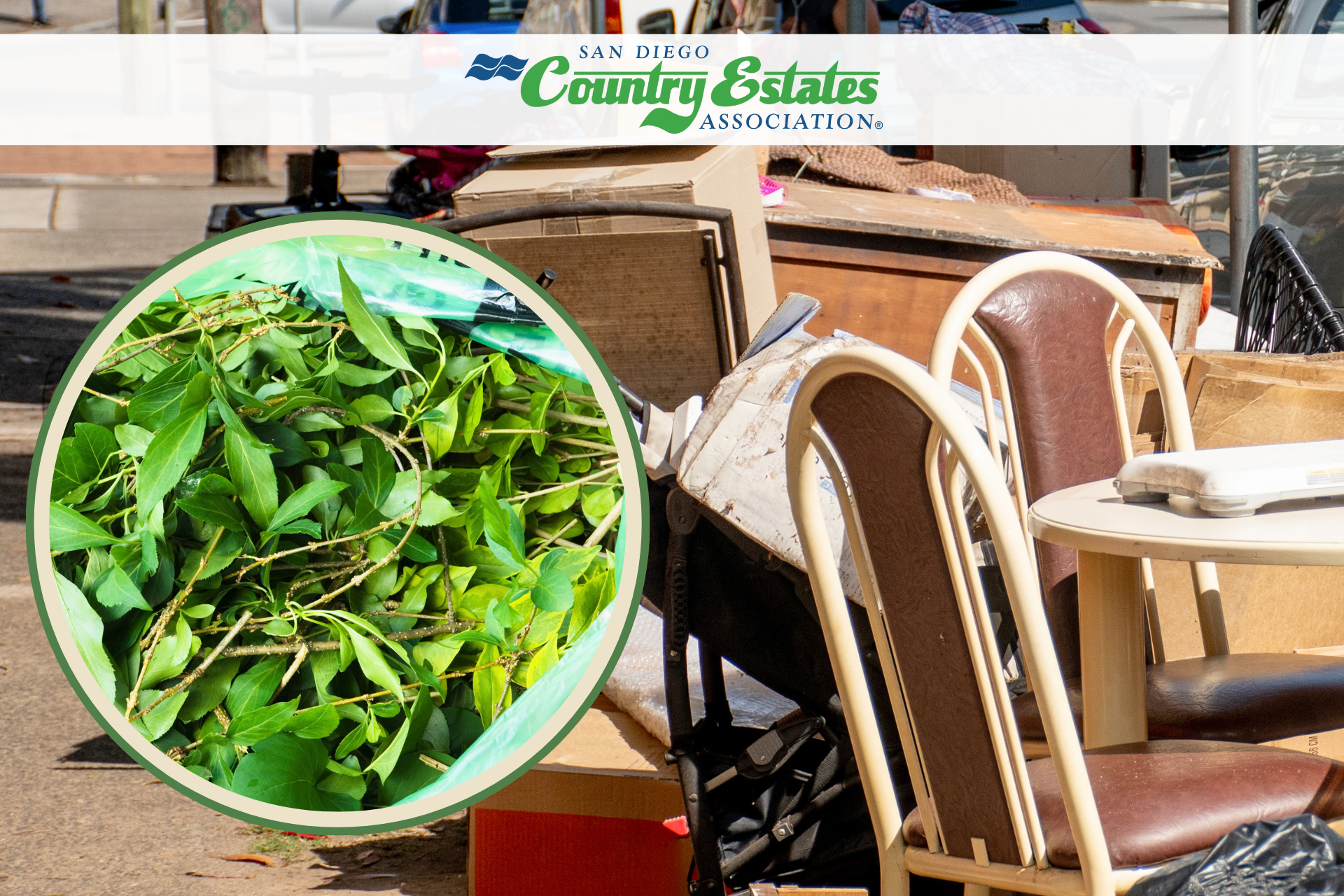 SDCEA_Spring-Clean-Up_May-2025 image