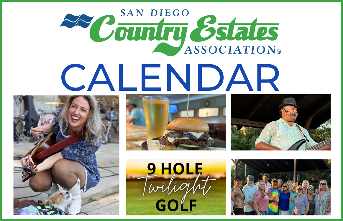 Summer_25_Calendar-011e007a image