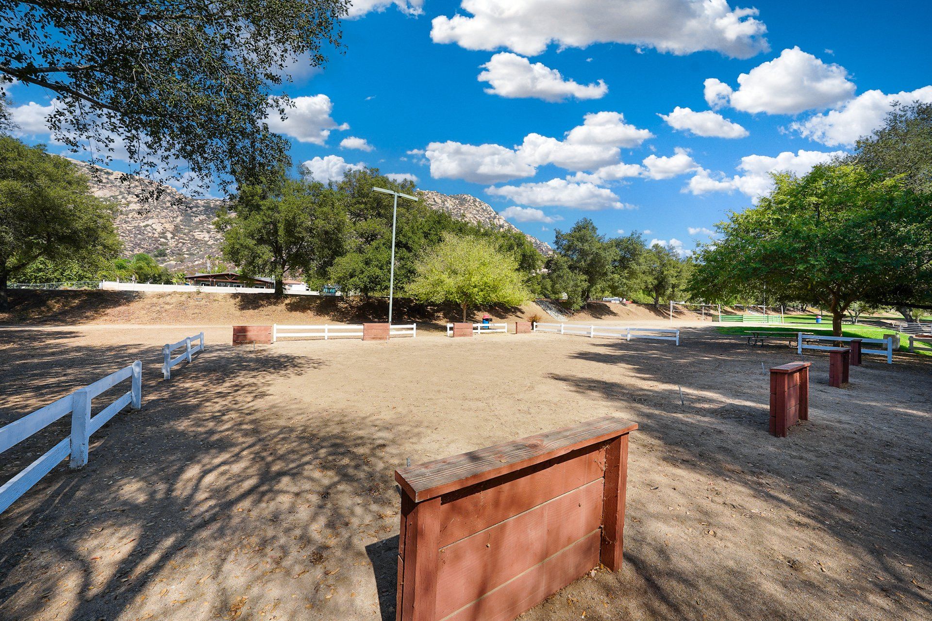 Horseshoes