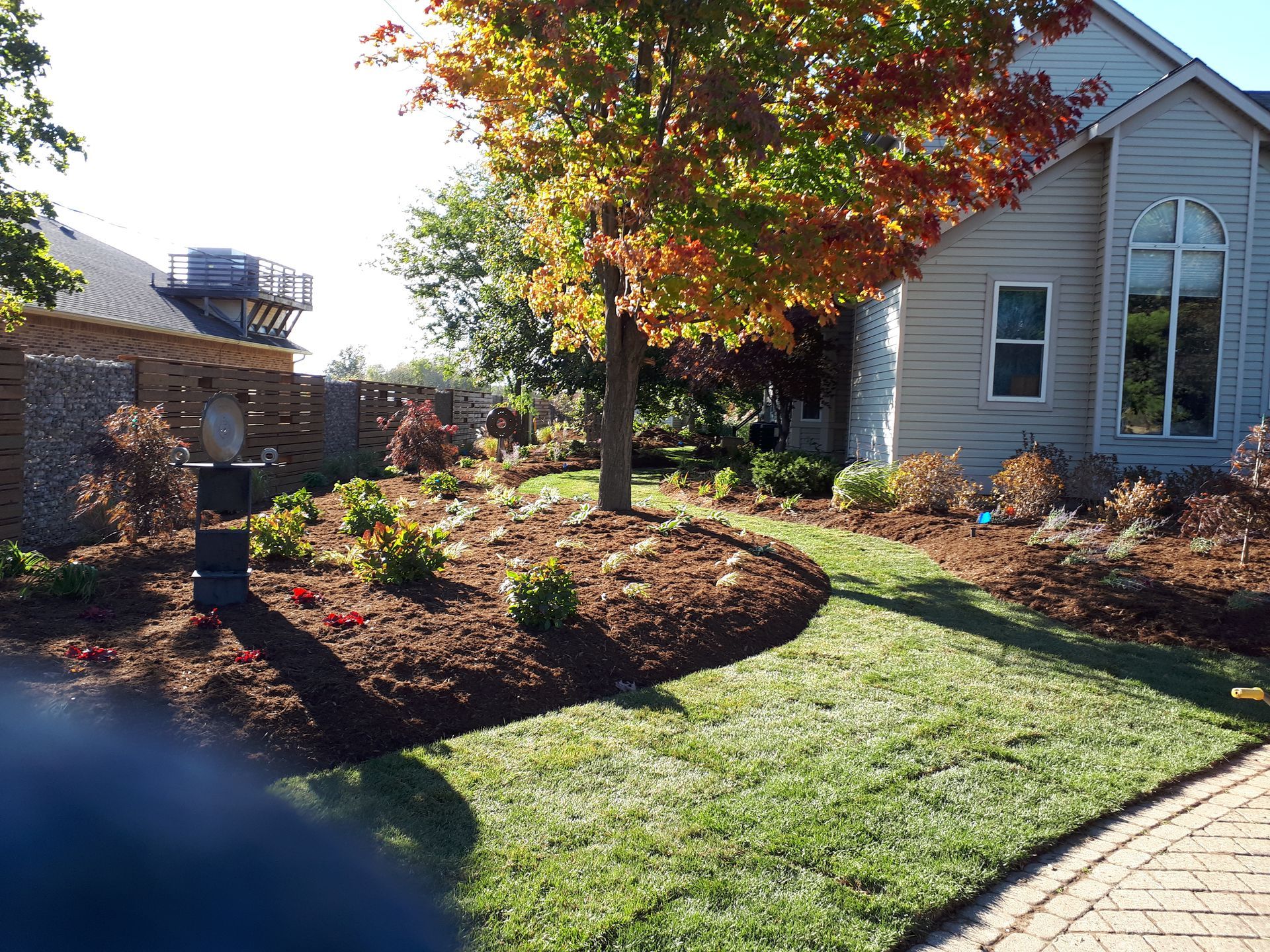 A landscaped yard with mulch beds, small shrubs, a leafy tree in autumn colors, and a light-colored house.